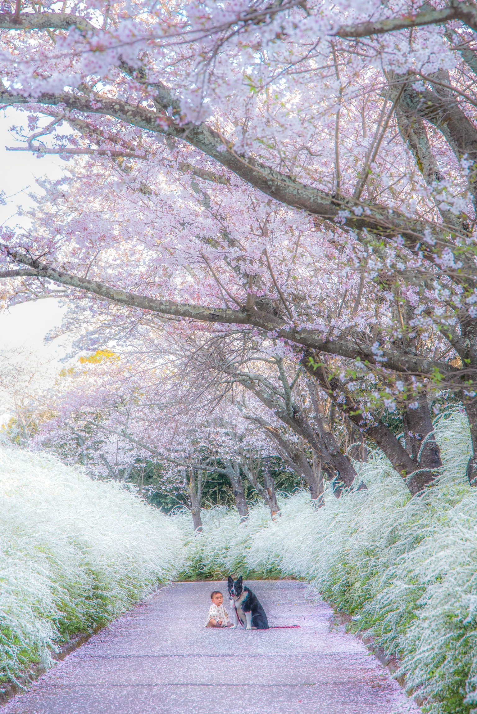 photo-c8Gc4ThSFIzVvWtzpWF4-image