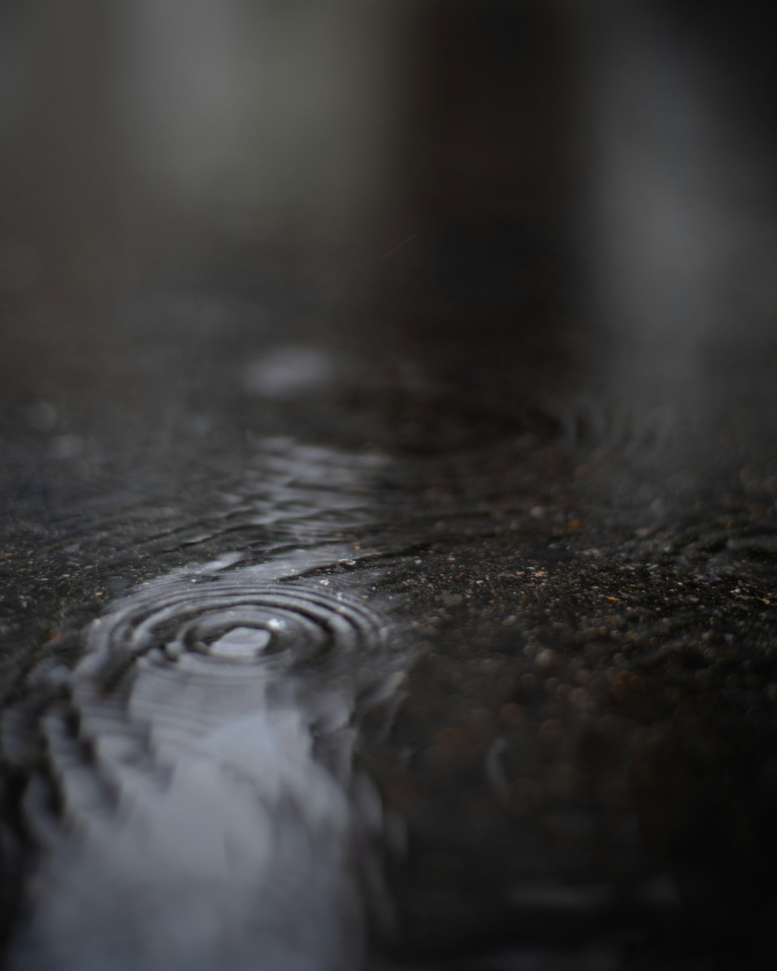 Close-up of raindrops creating ripples in a puddle