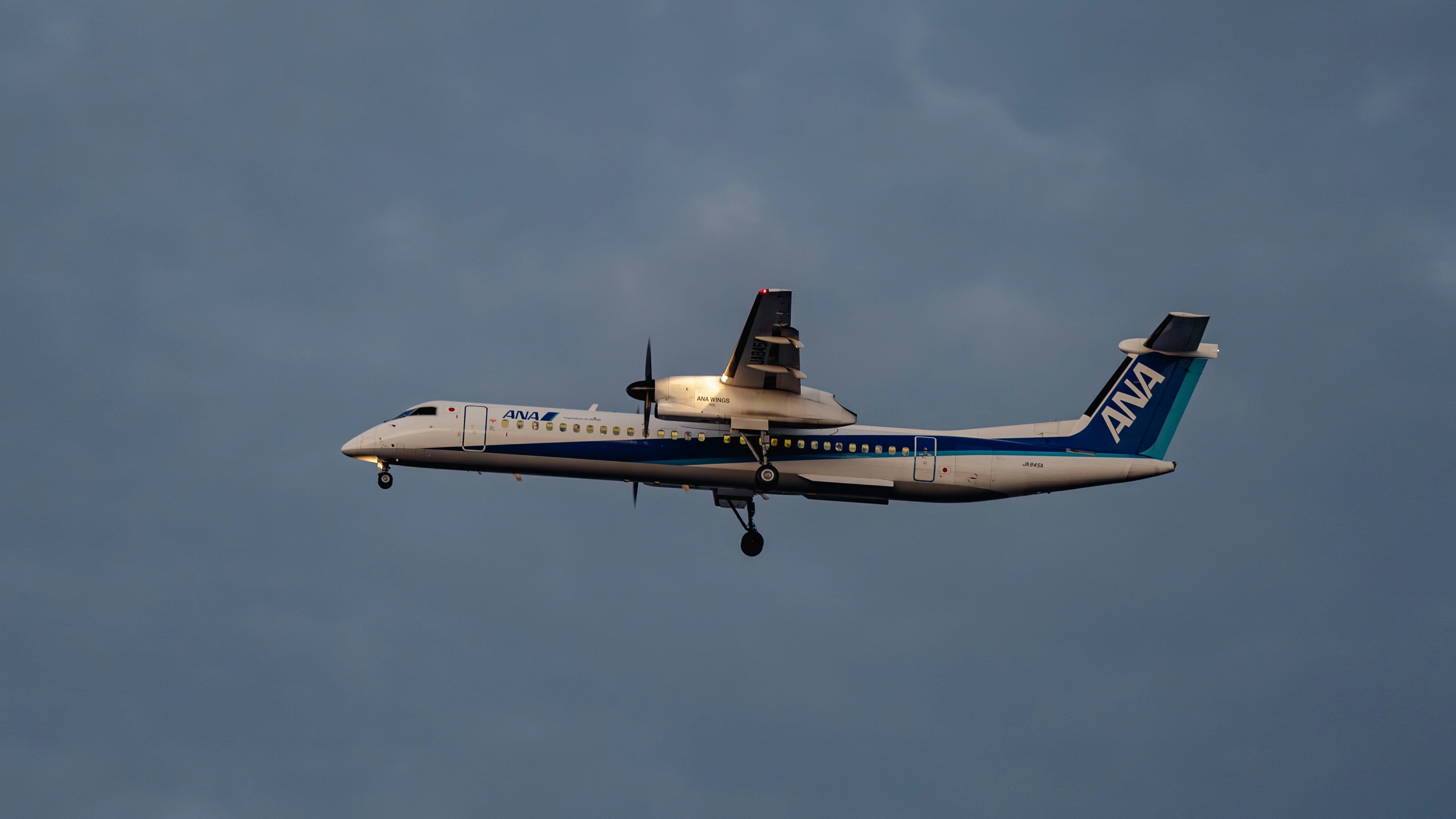 空を飛ぶANAの旅客機の機体