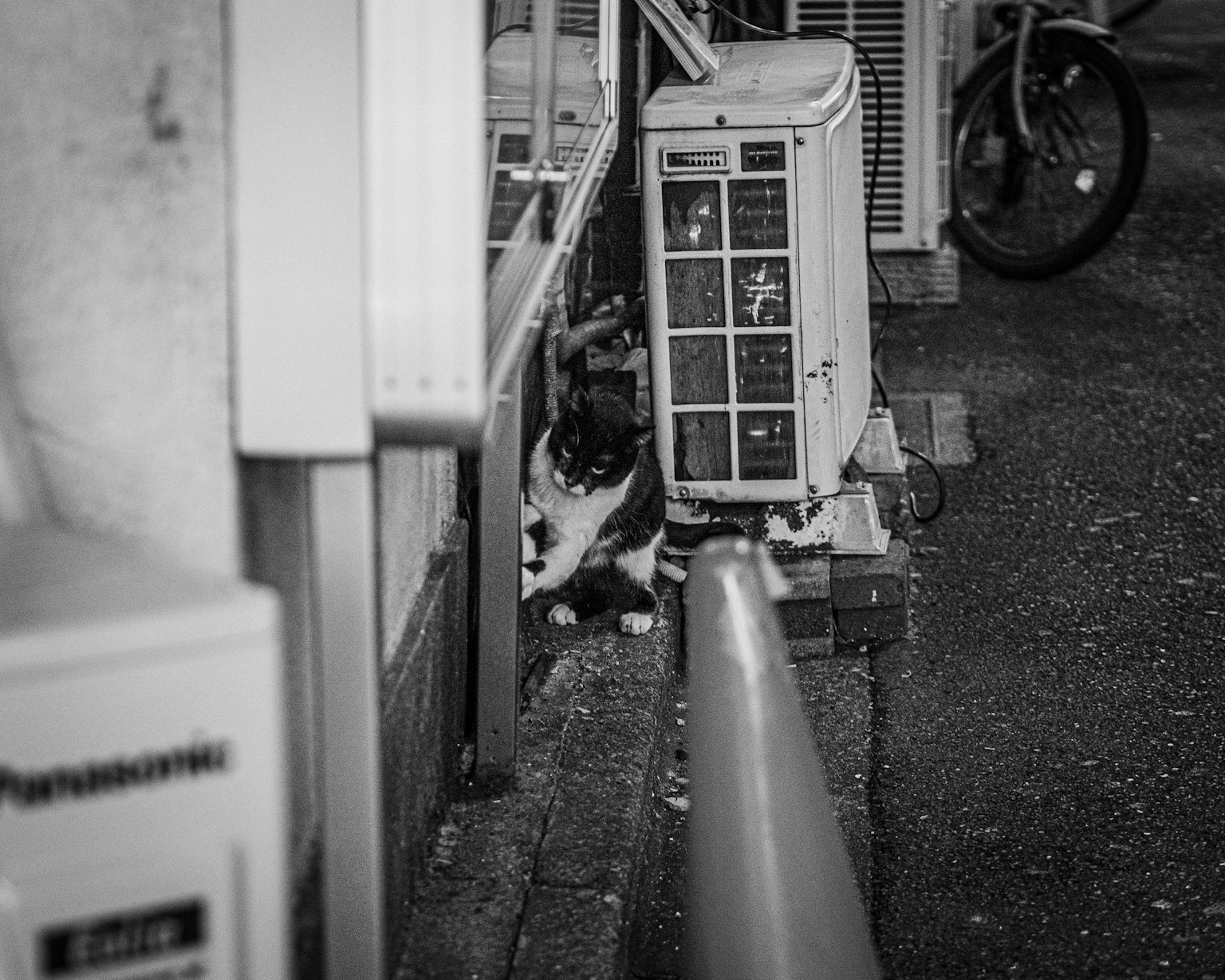 Seekor kucing bersantai di celah unit pendingin udara dalam pengaturan perkotaan monokrom