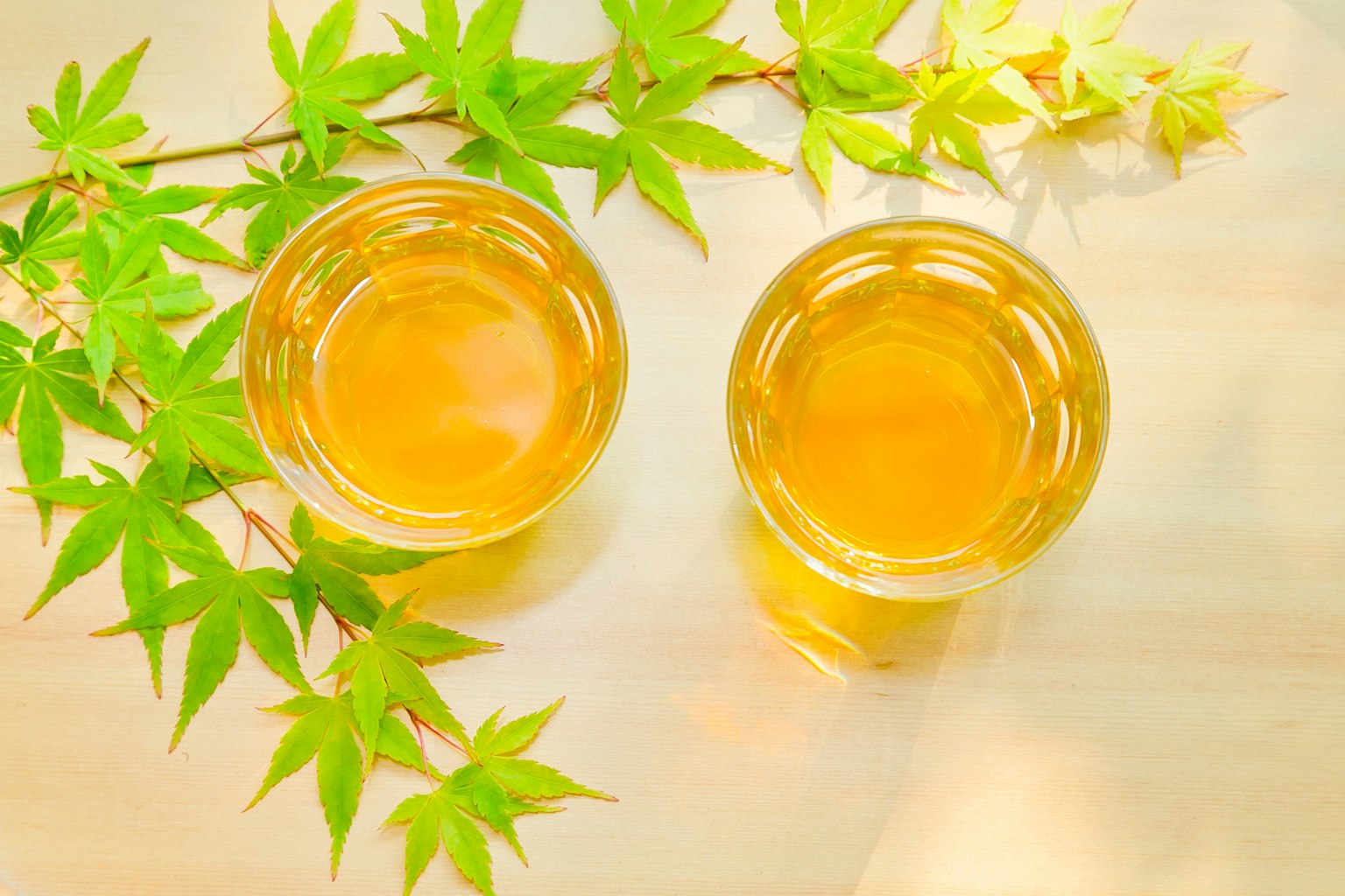 两杯茶与绿色叶子相伴