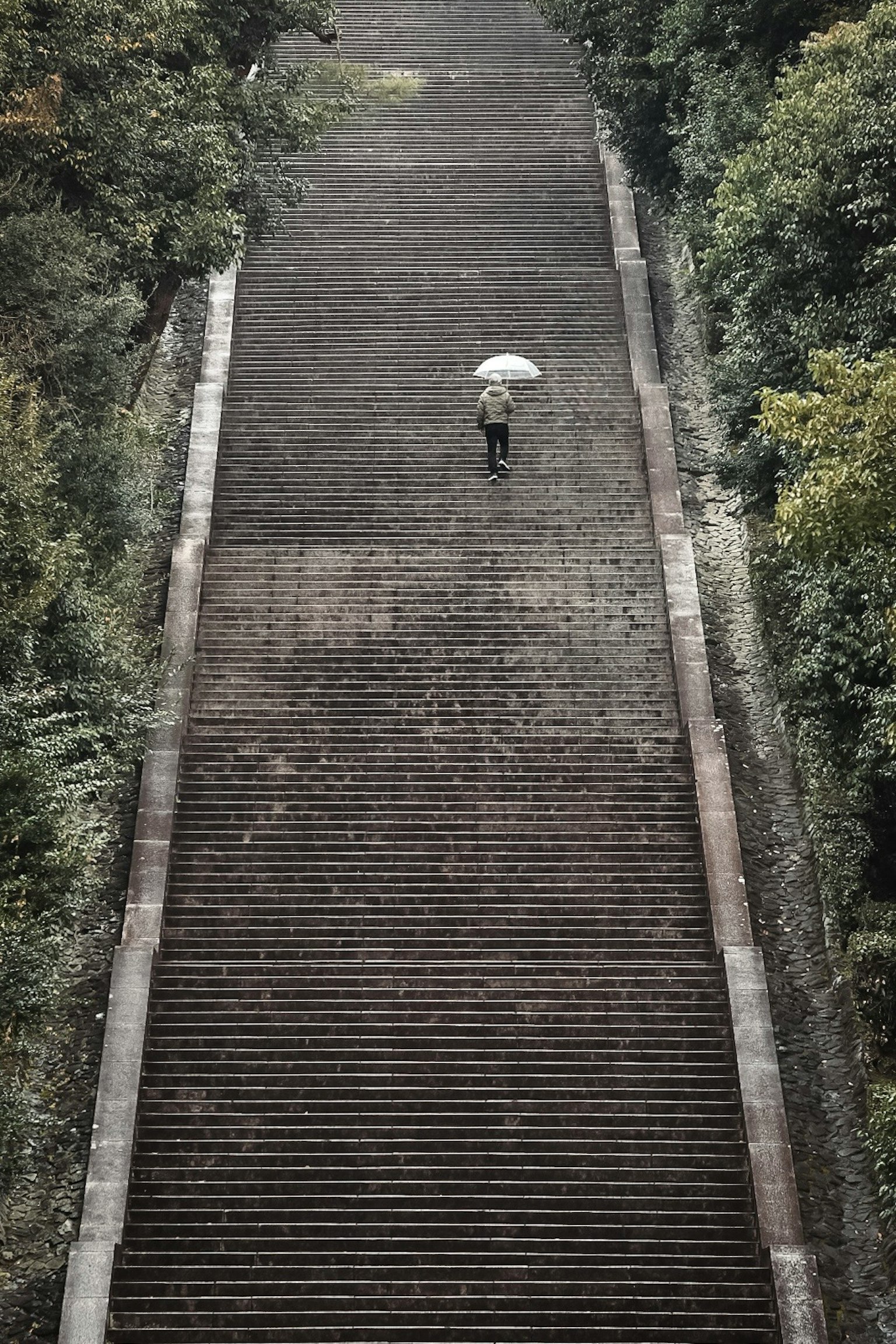 Personne avec un parapluie montant un escalier entouré de verdure