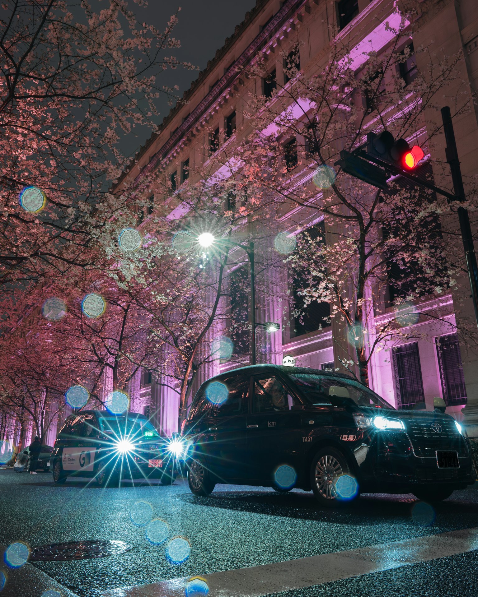 Auto su una strada fiancheggiata da ciliegi illuminata di notte