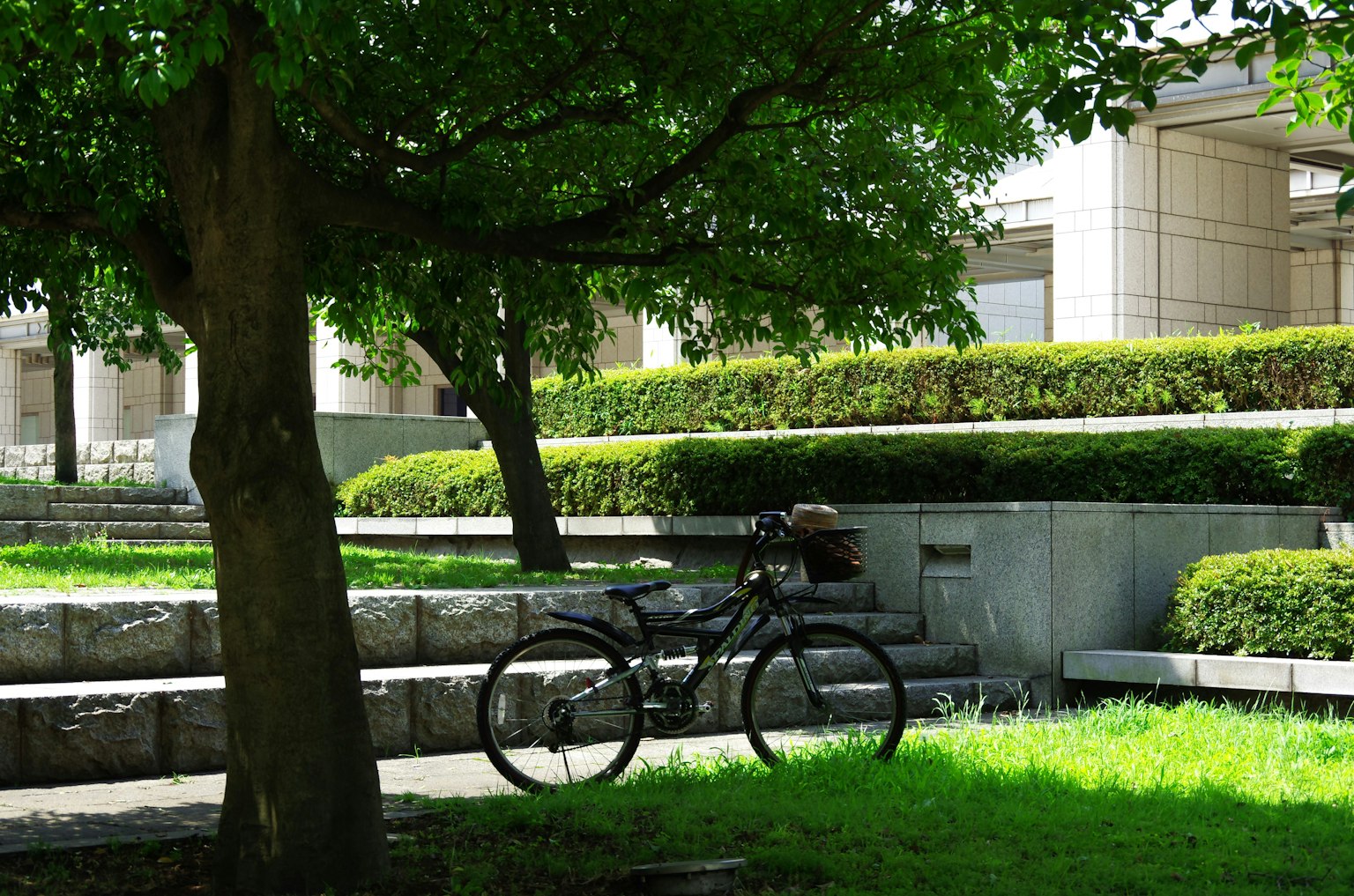 Bicicleta descansando sobre la hierba verde en un parque con árboles y arquitectura moderna