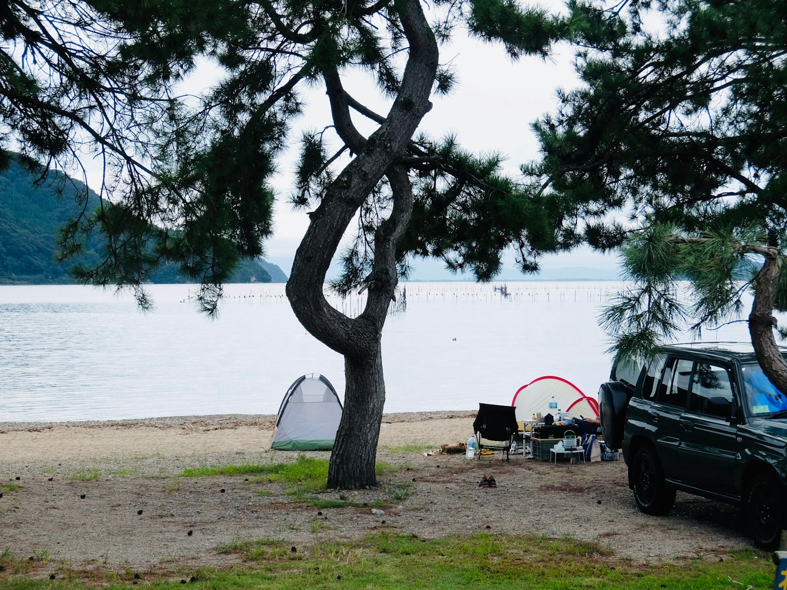 海灘附近露營地的風景，樹木和帳篷