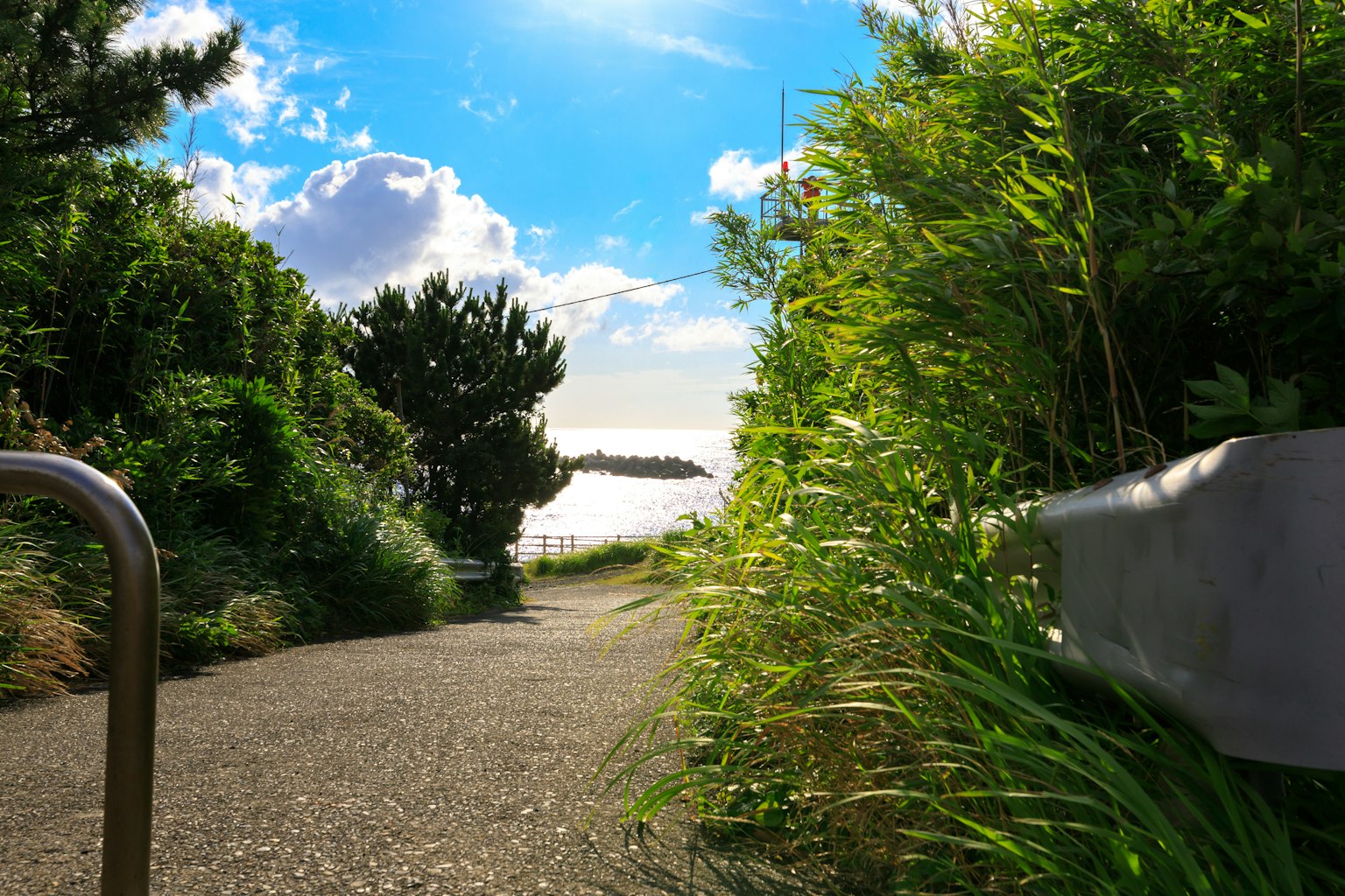 Sentiero panoramico con vegetazione lussureggiante e vista sul mare calmo
