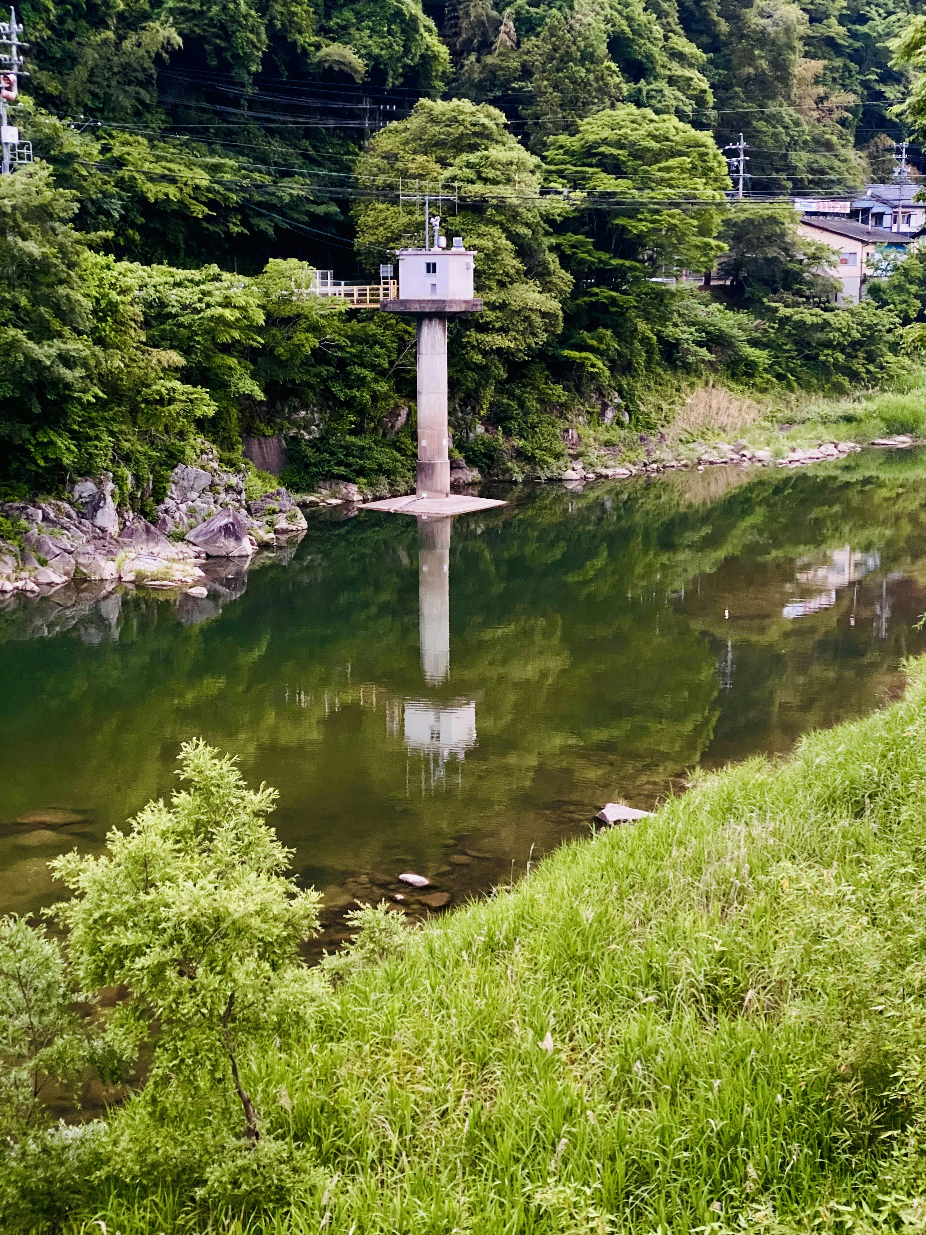 綠意河岸旁的白色橋墩景觀