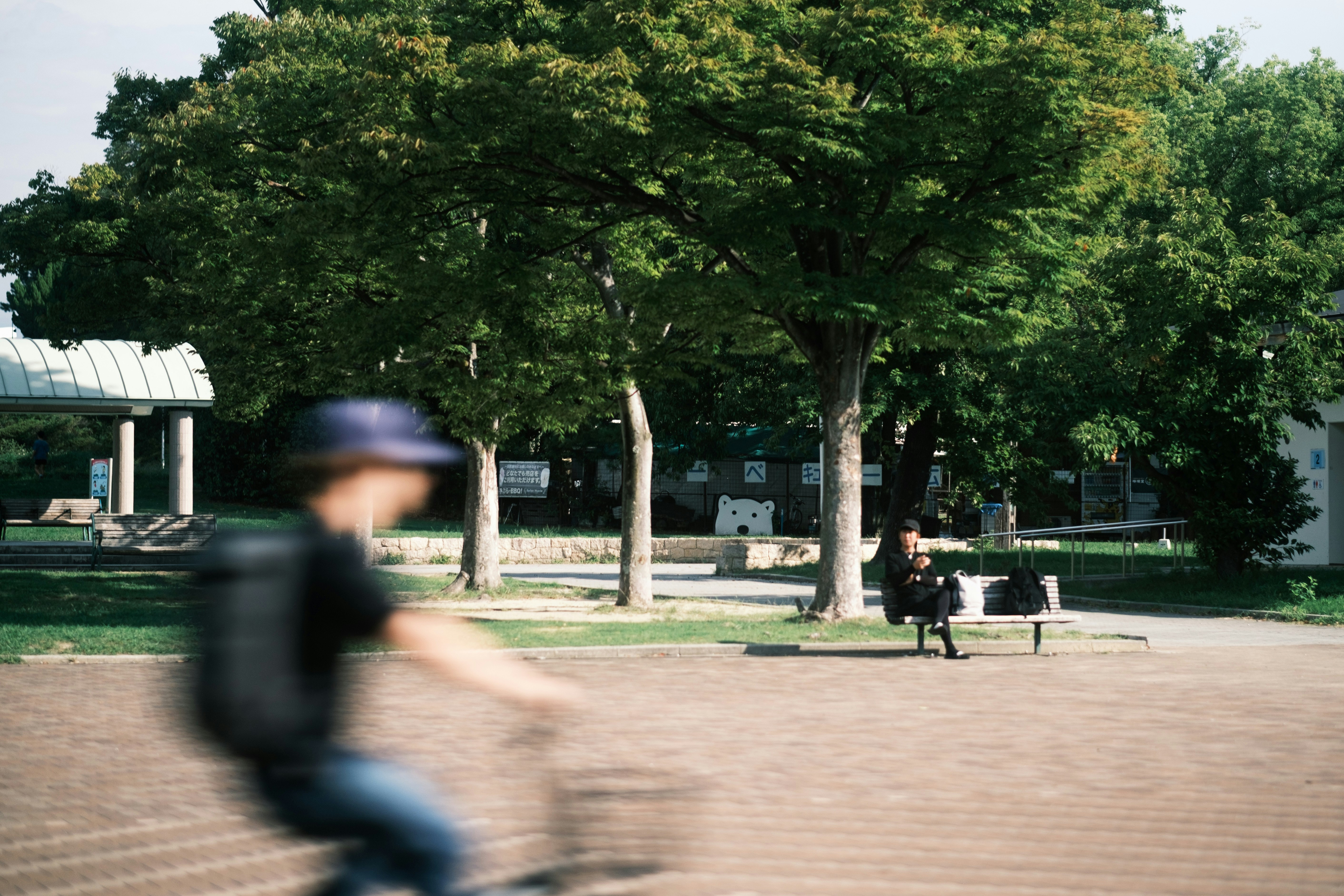 people walking along a tree-lined park walkway
