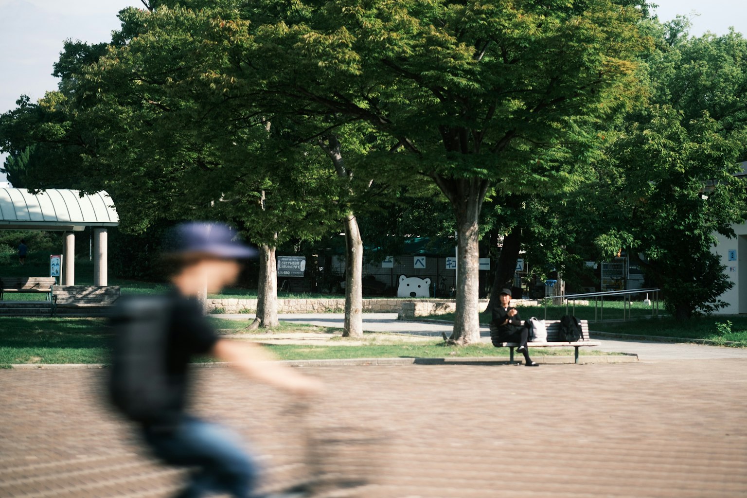 自転車に乗る人と緑豊かな木々がある公園の風景