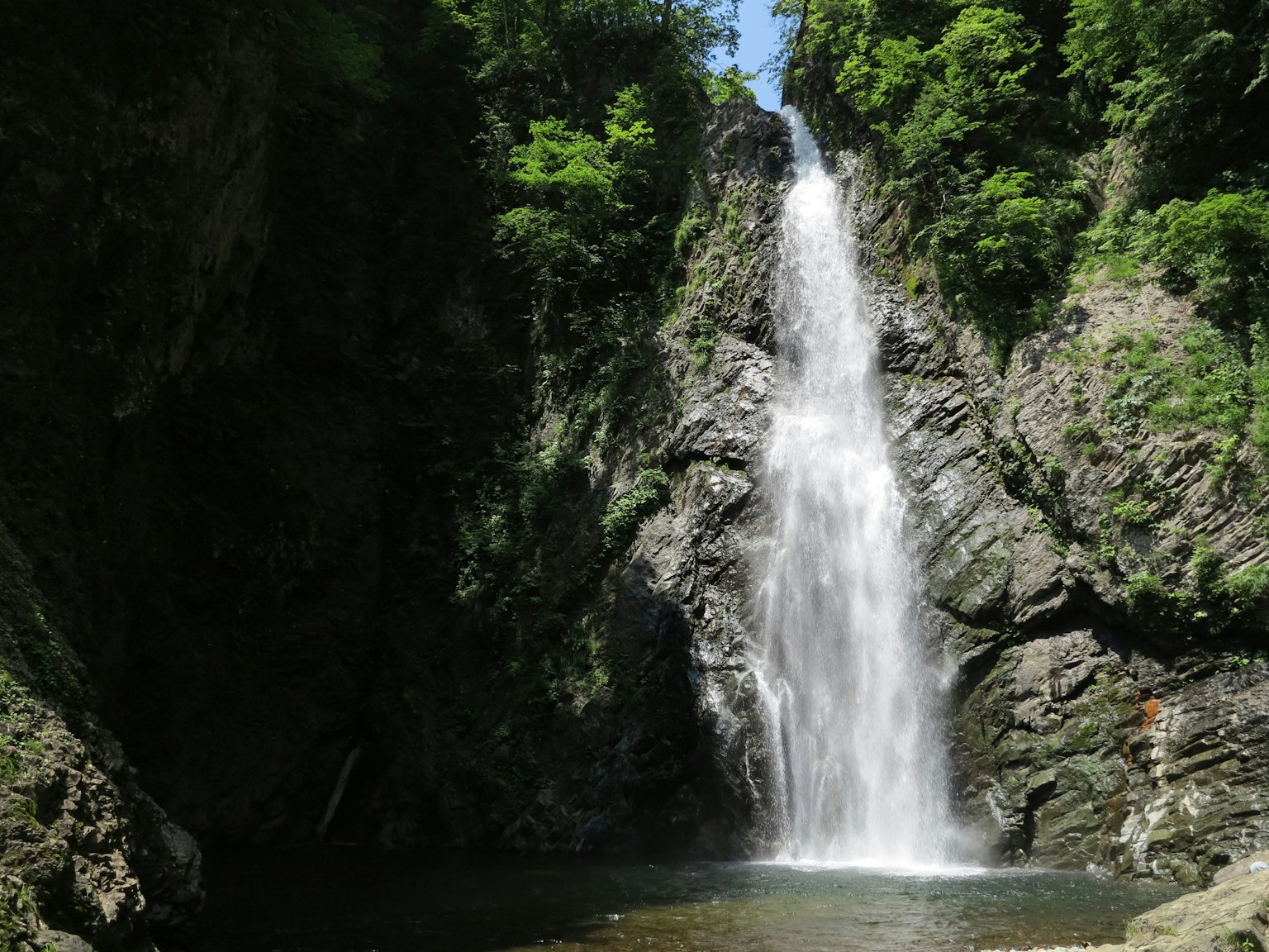 Una hermosa cascada que cae rodeada de vegetación exuberante