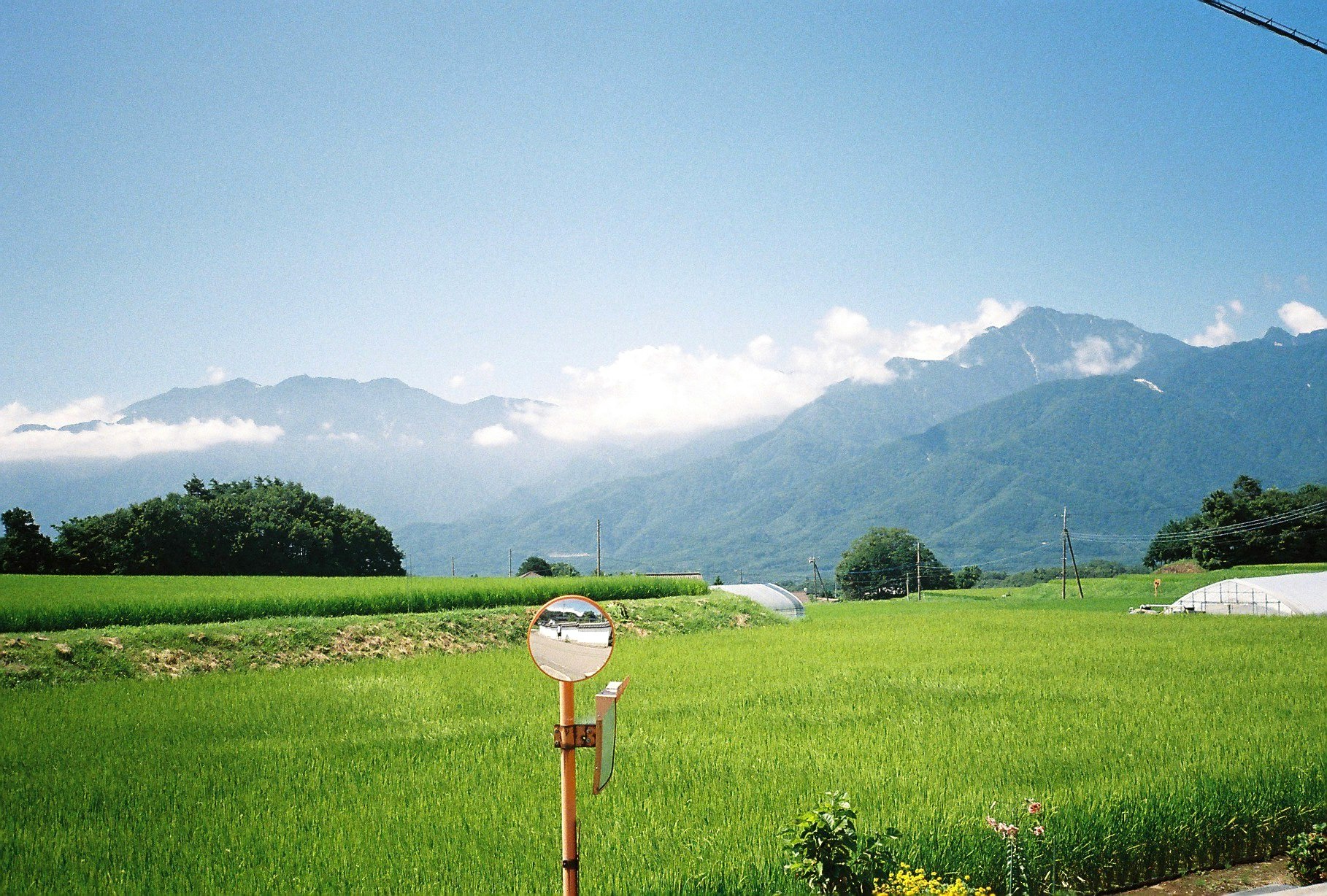 緑の牧草地と遠くの山並み、畑の水やり用ホース