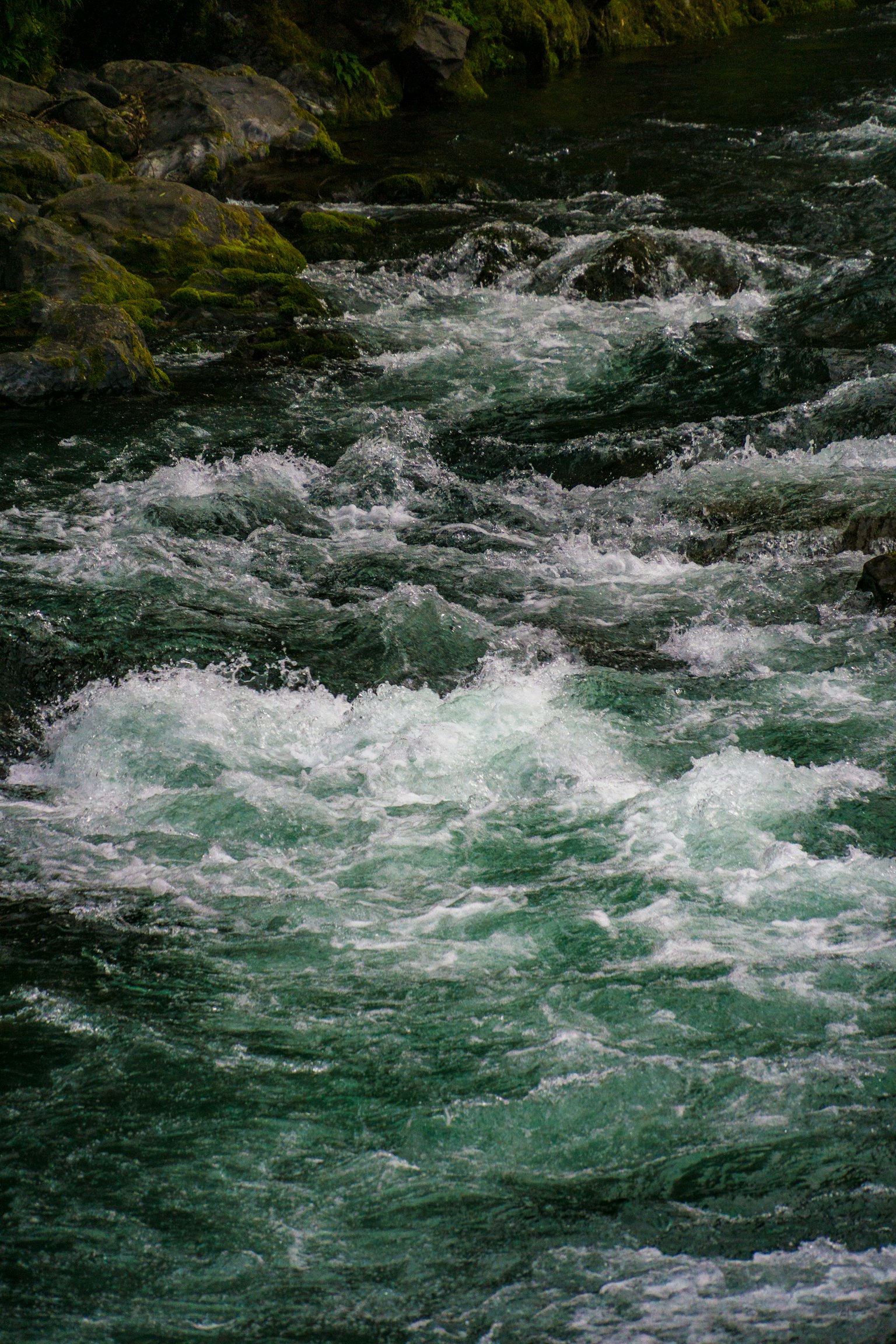 photo-cDavLE4hai0vlL9n3HAy-image