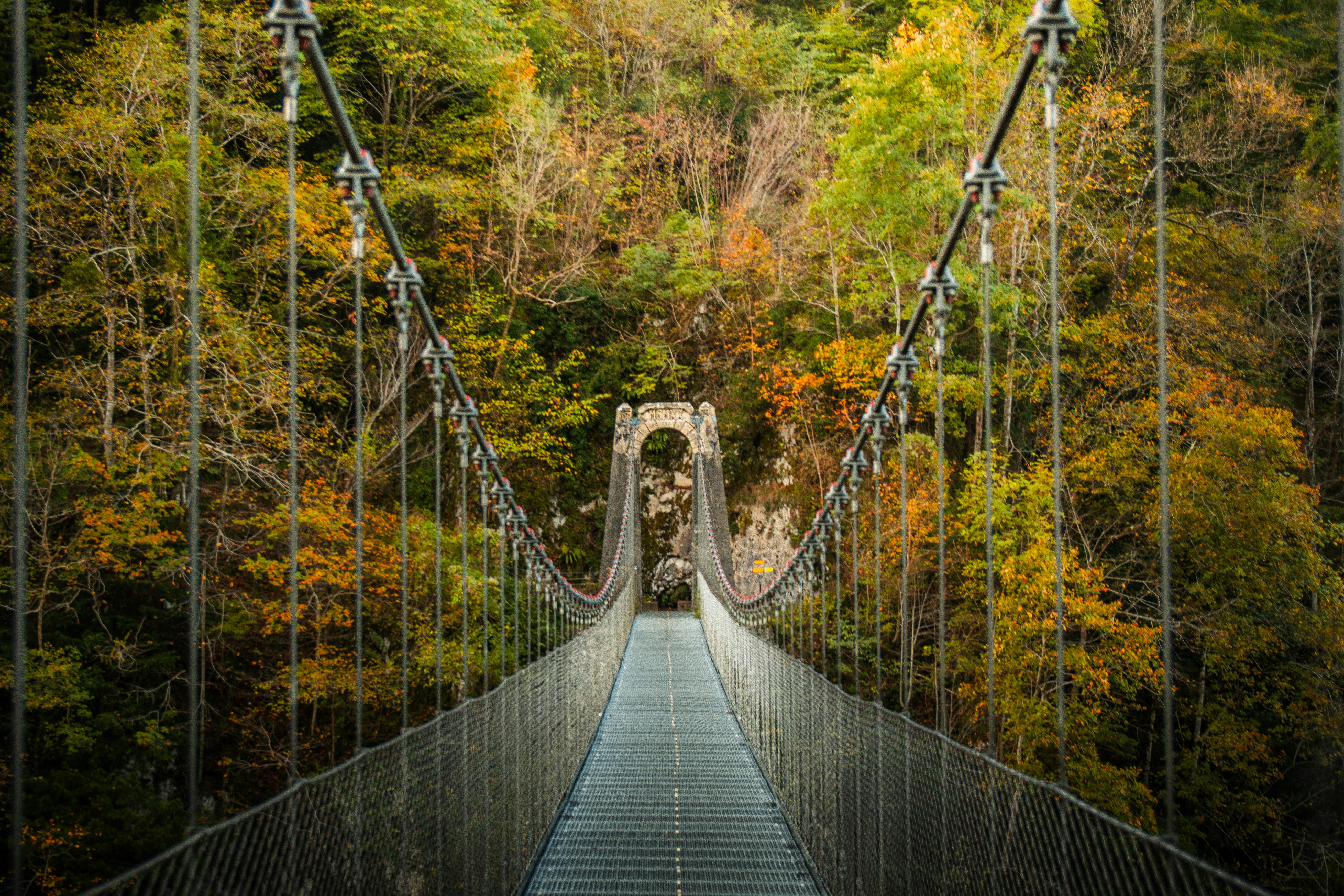 木製の歩道橋「Passerelle d'Holzarte」と森の紅葉の眺め
