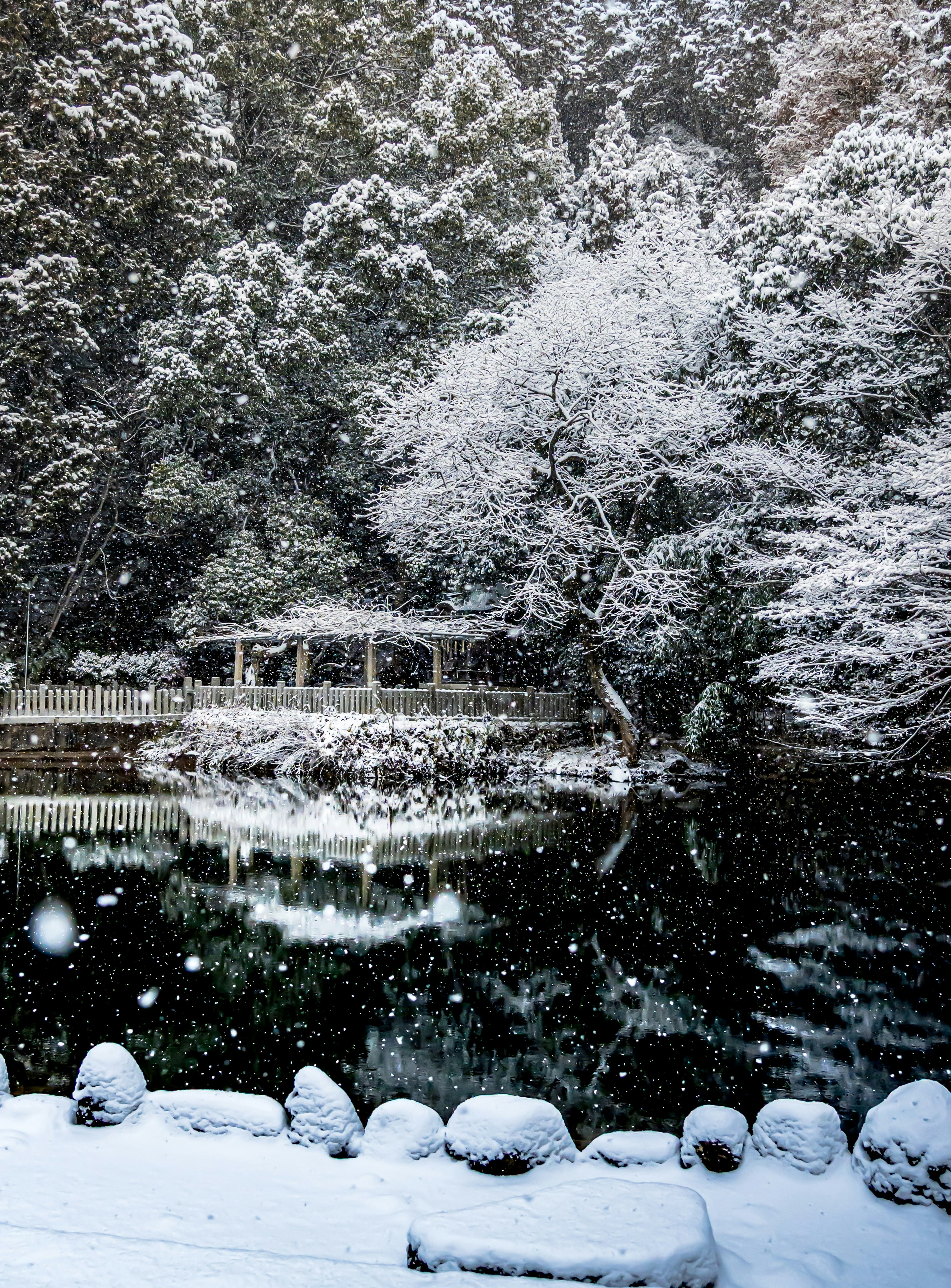 雪が積もる庭園の小道と池のある風景