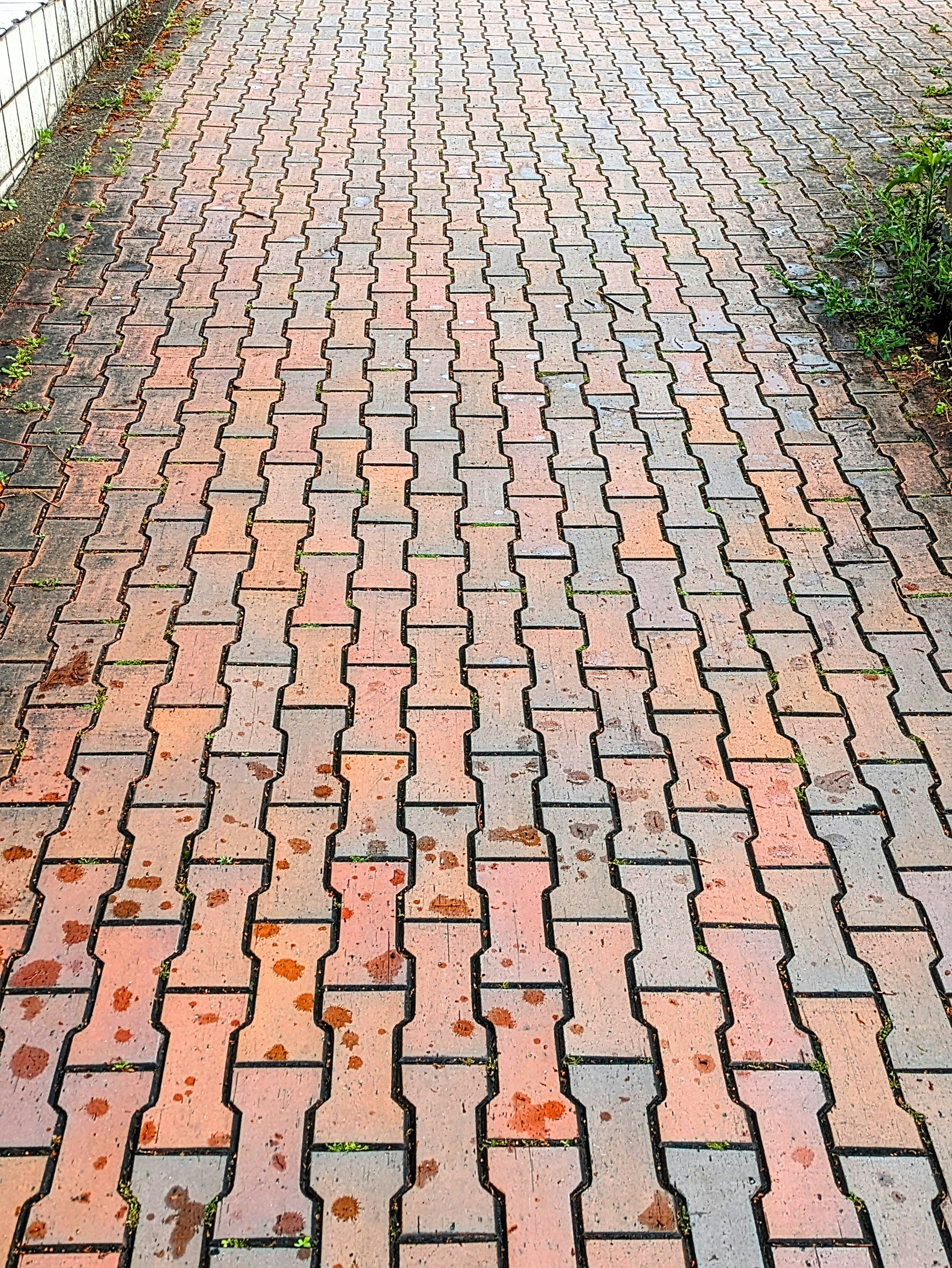 磚紋坡道上的雨滴