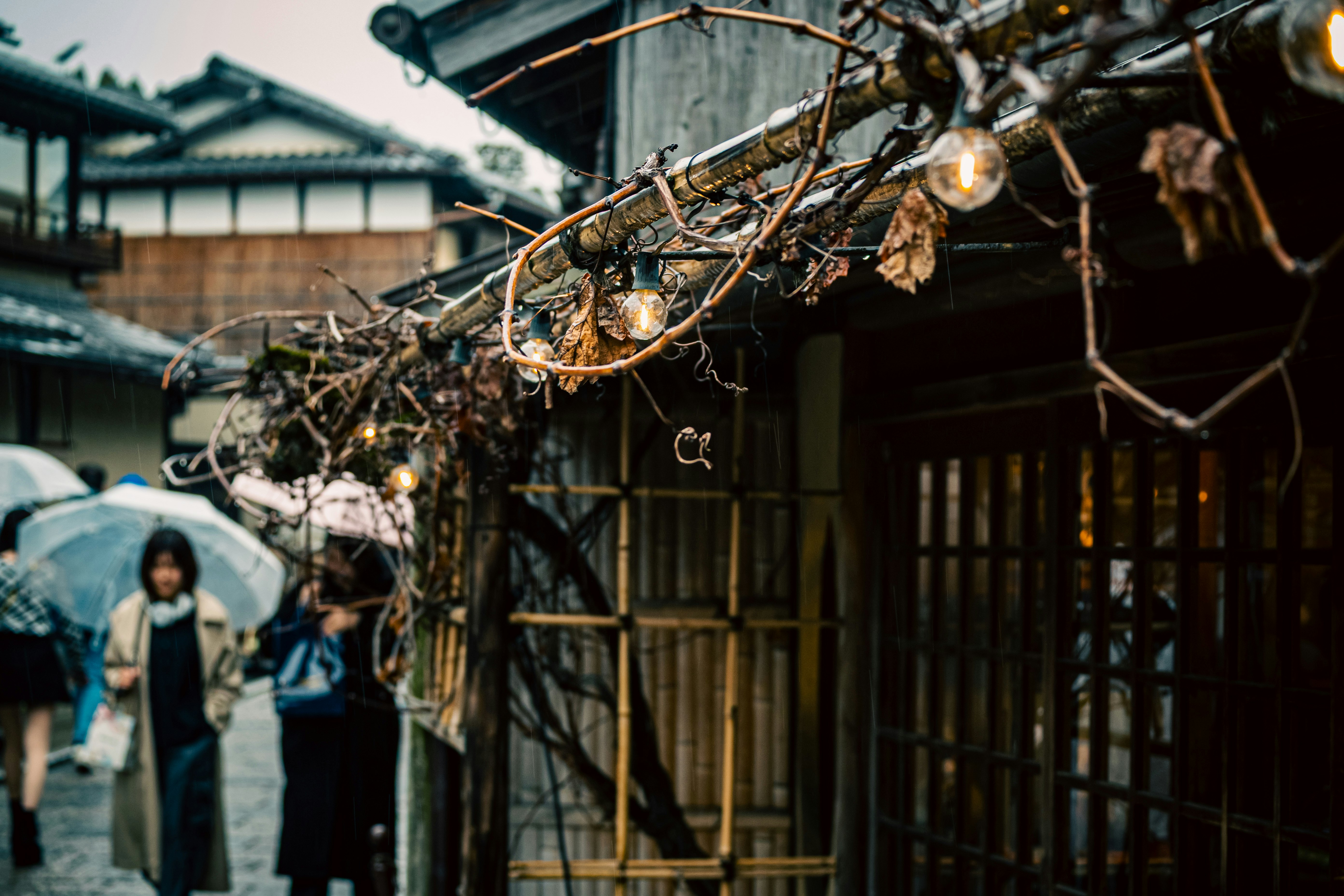小巷店铺门前的自行车与串灯