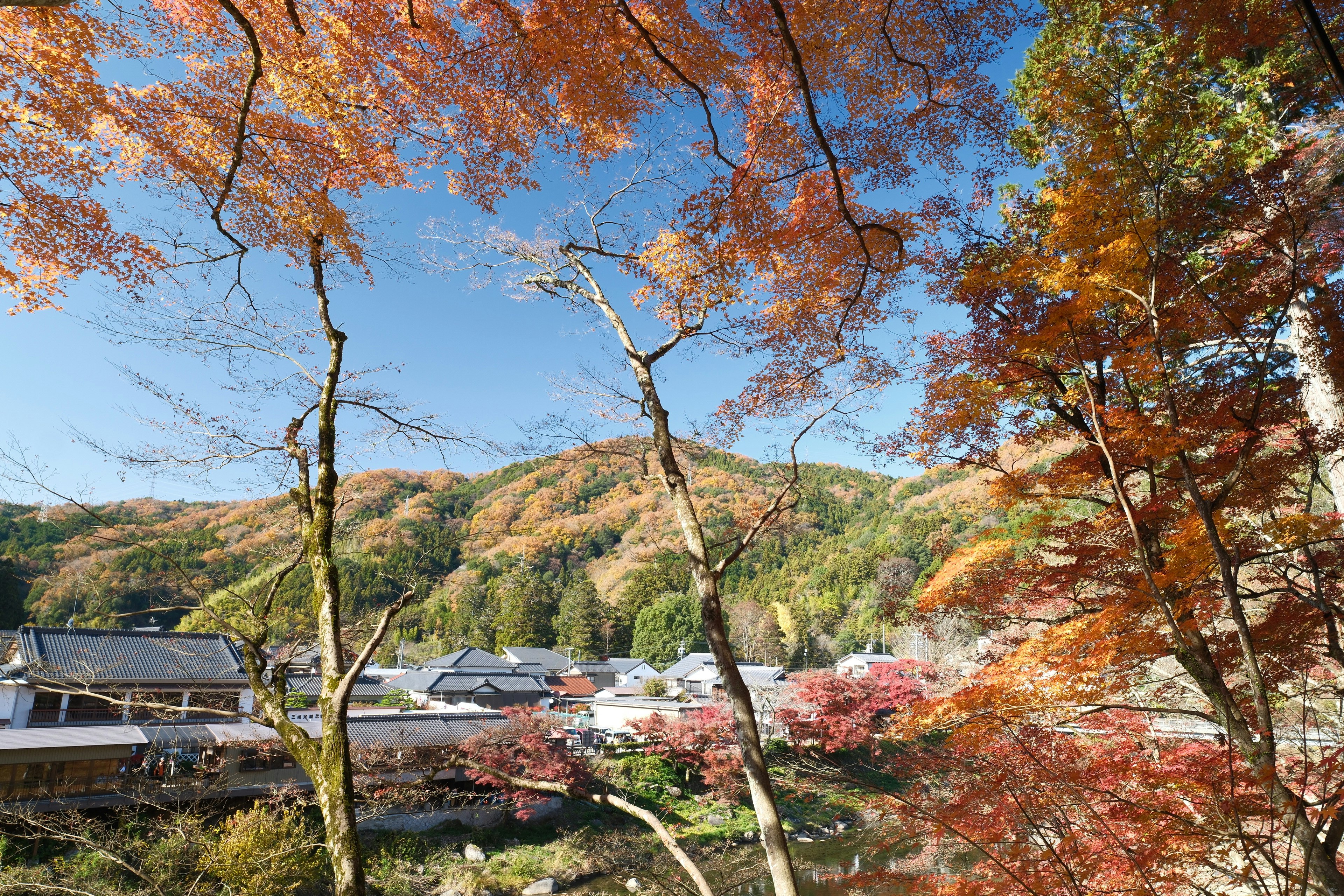 香嵐渓の紅葉が彩る渓谷の景色
