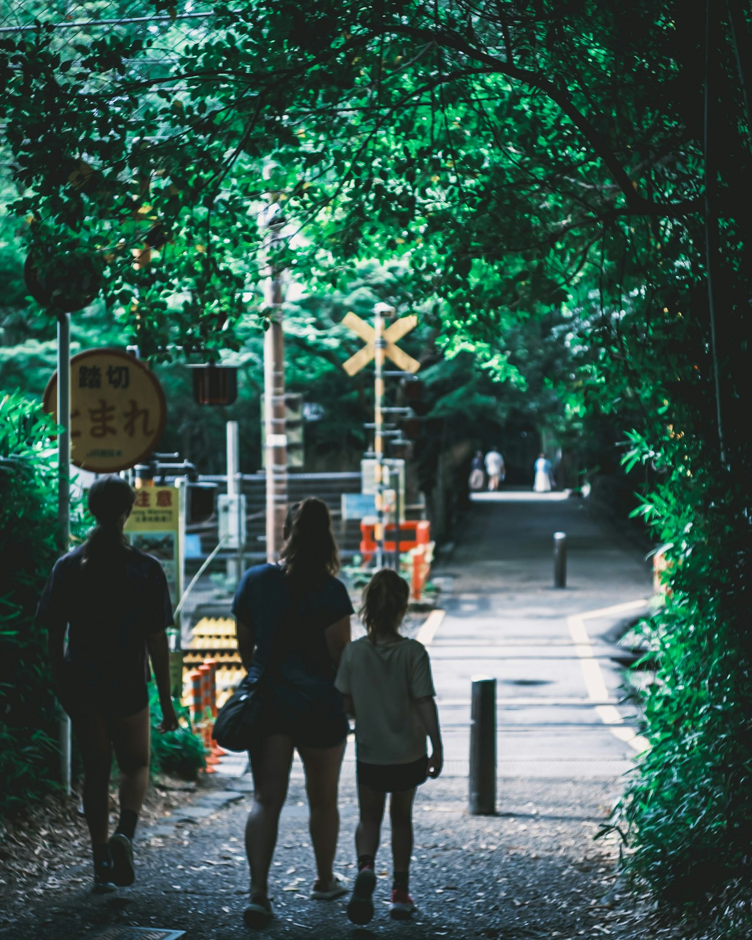 一家人在绿树隧道中行走，背景有铁路标志