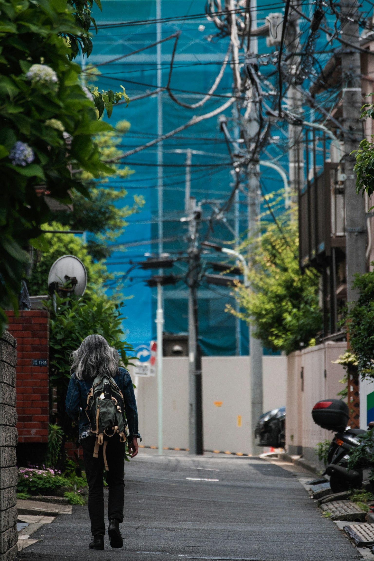 녹음이 우거진 좁은 골목을 걷는 여성