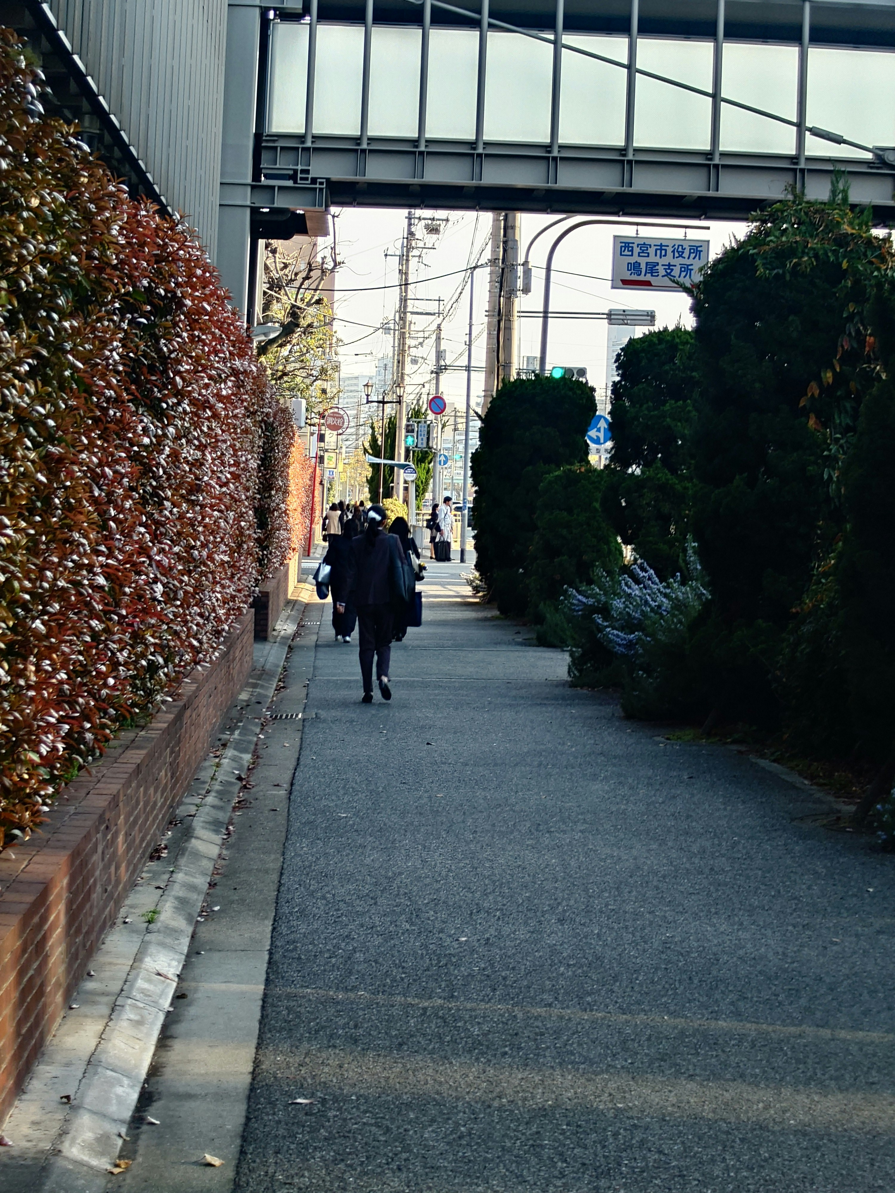新生活を迎える人の後ろ姿が続く路地の商店街