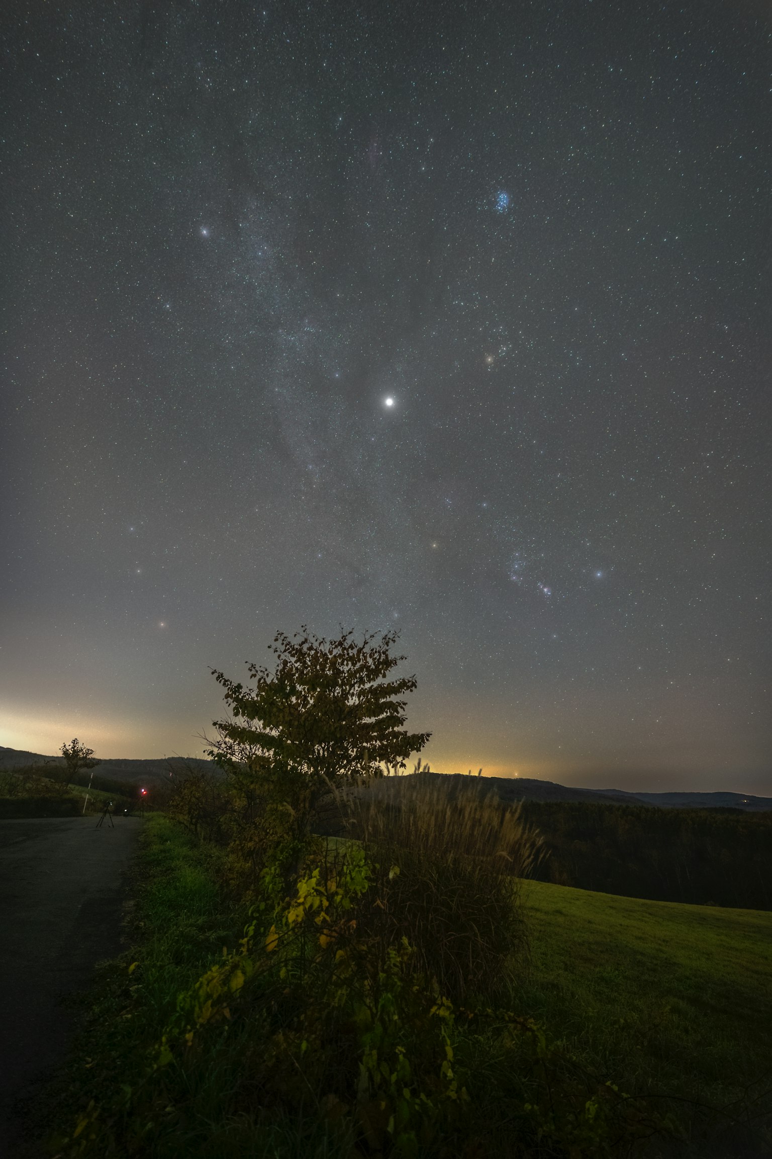 Sternenhimmel bei Nacht mit silhouettierter Baum und Landschaft