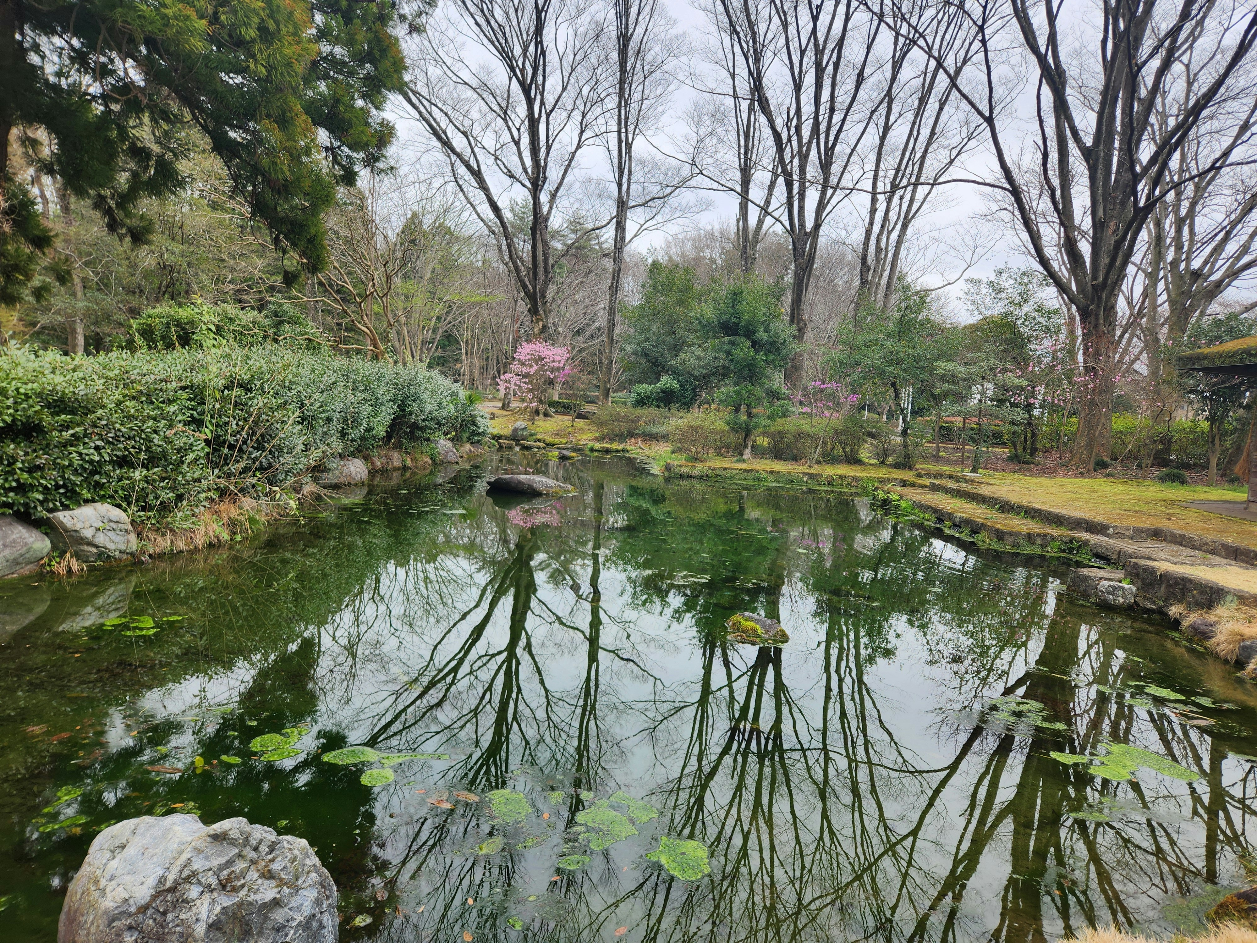 池のある公園の春景色