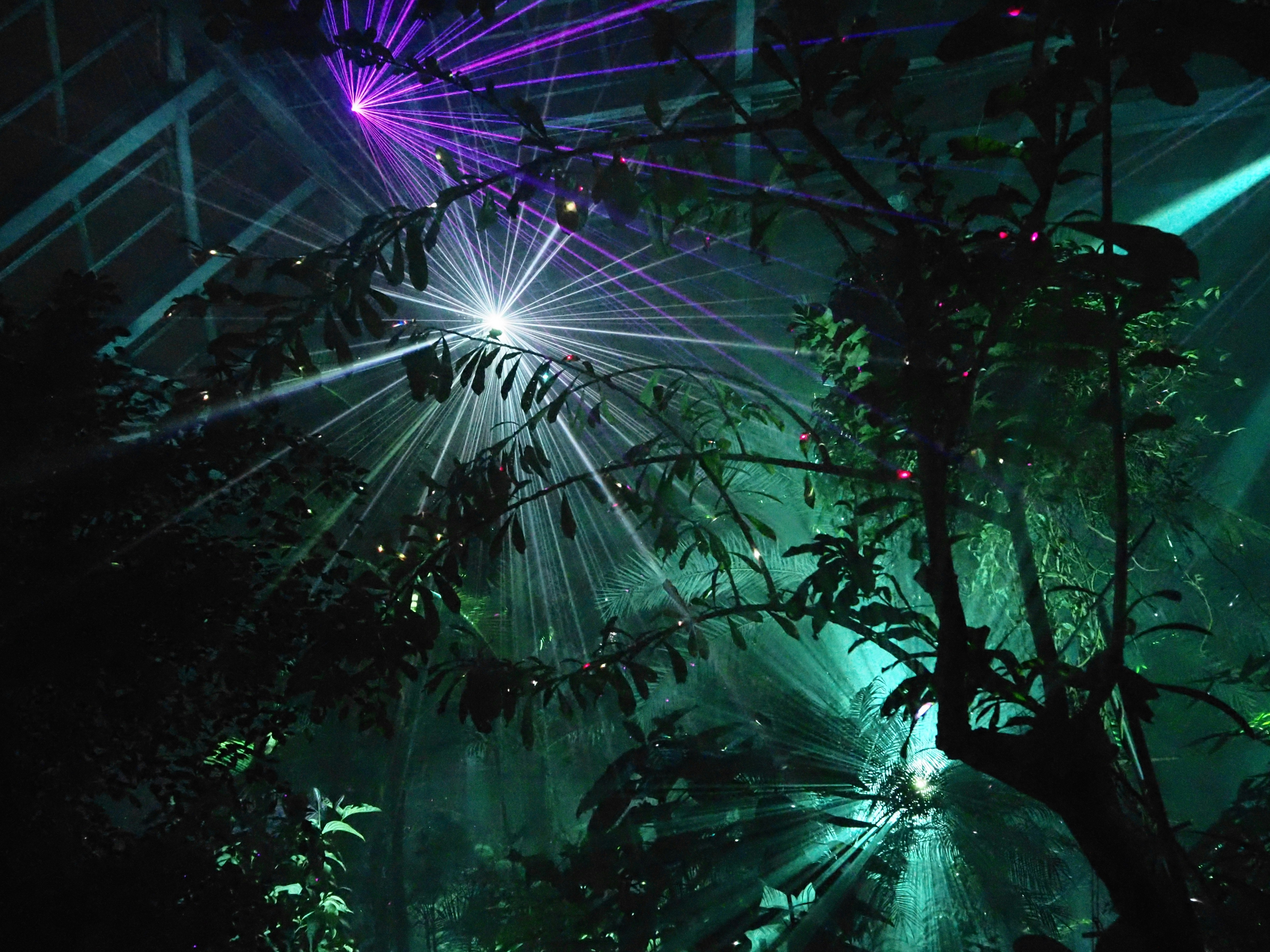 京都府立植物園のライトサイクル演出の夜景