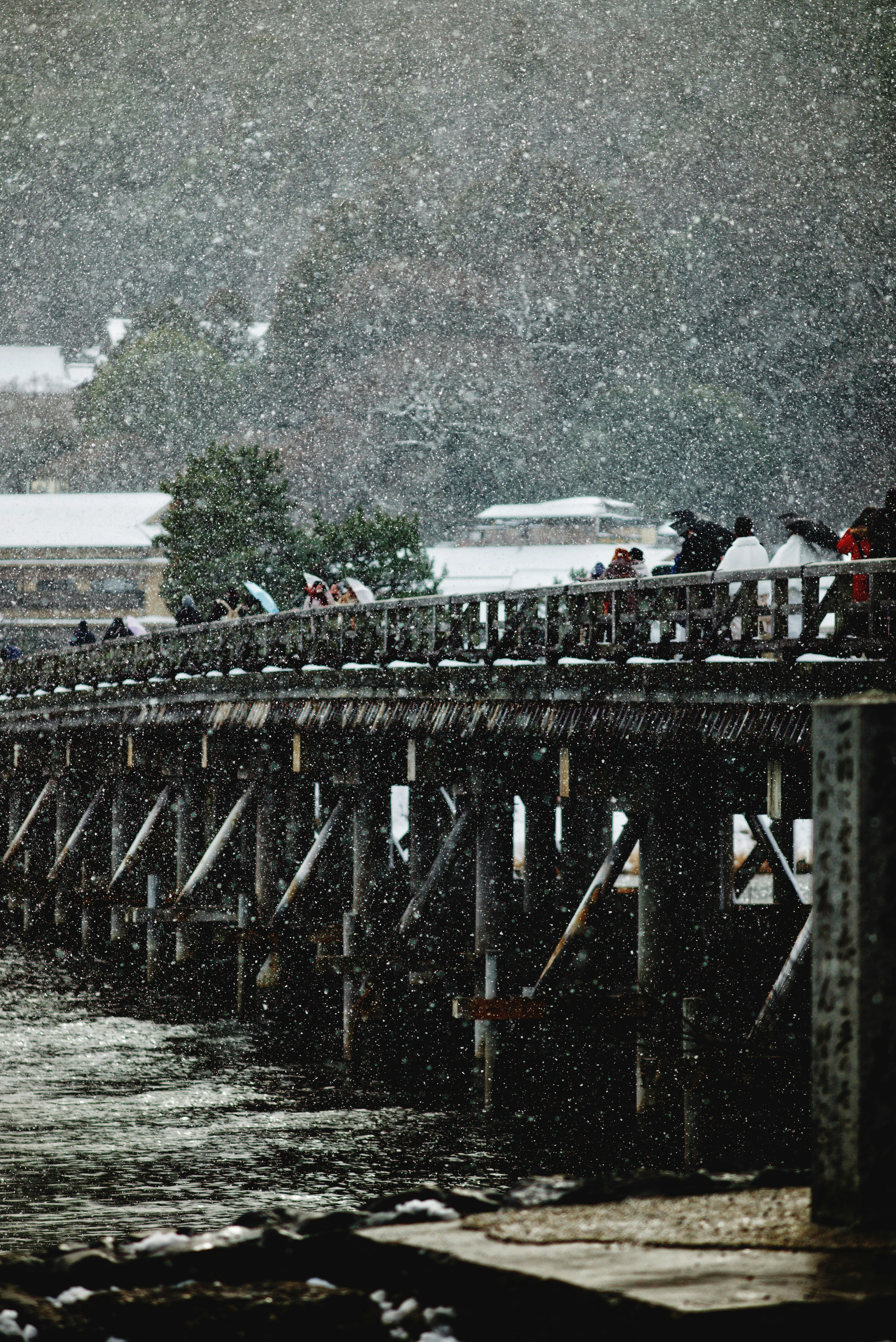 嵐山渡月橋飄落的雪