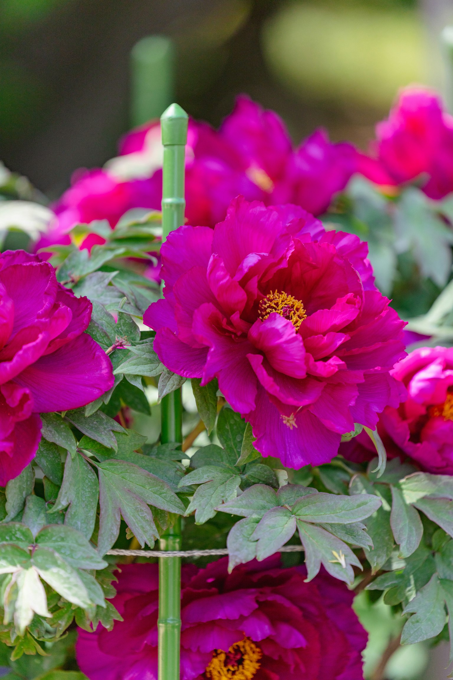 photo-cGmq3EKU0fRwIehL986k-image