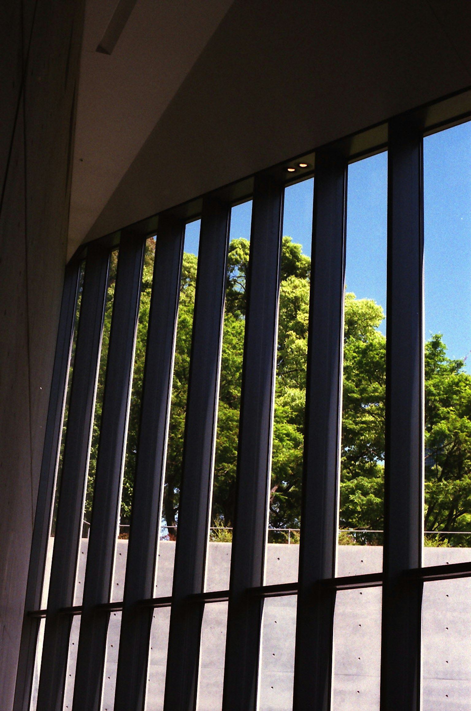 Design di finestra moderna che mostra cielo blu e alberi verdi