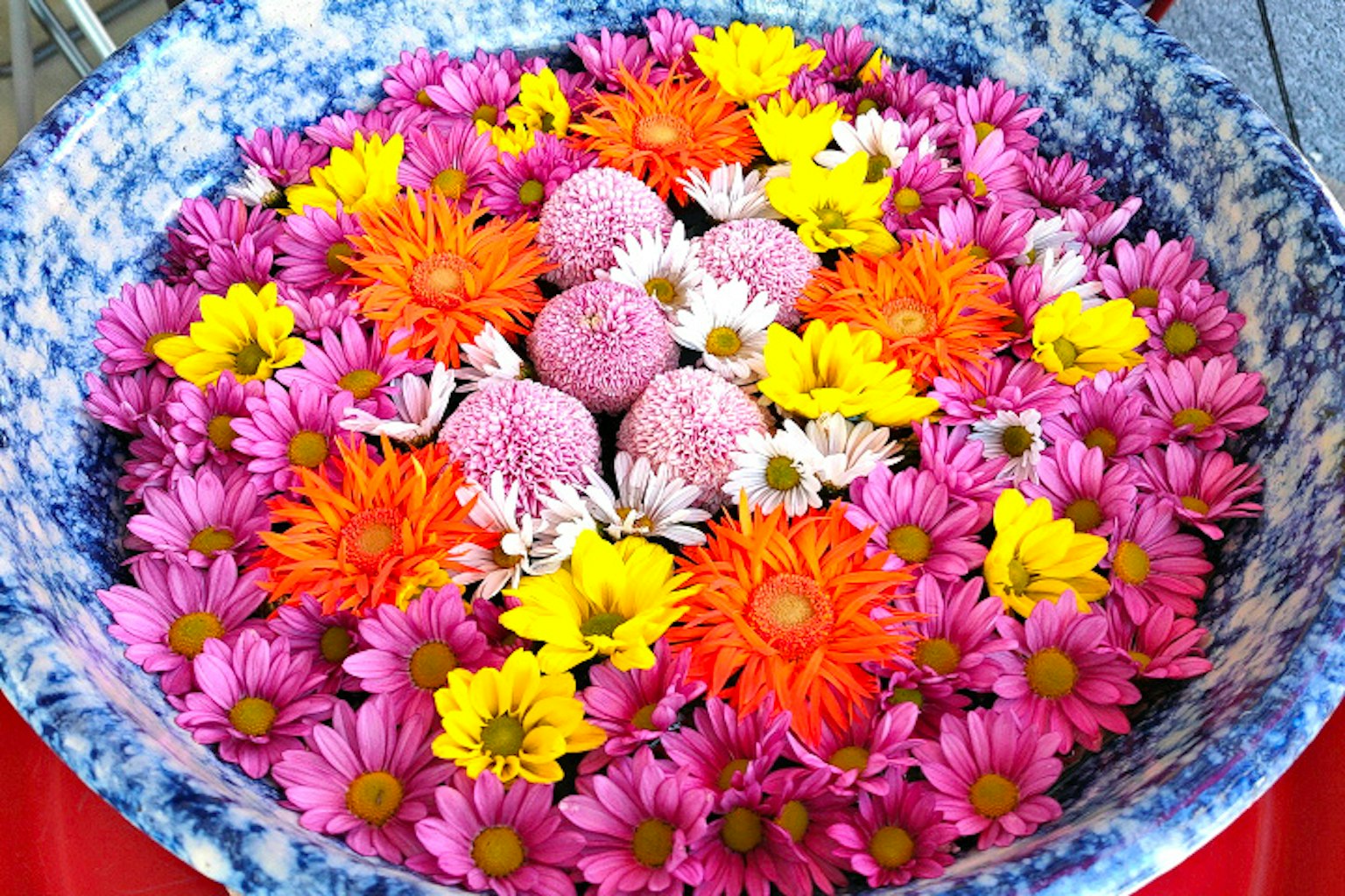 色彩繽紛的花朵漂浮在碗中的美麗排列