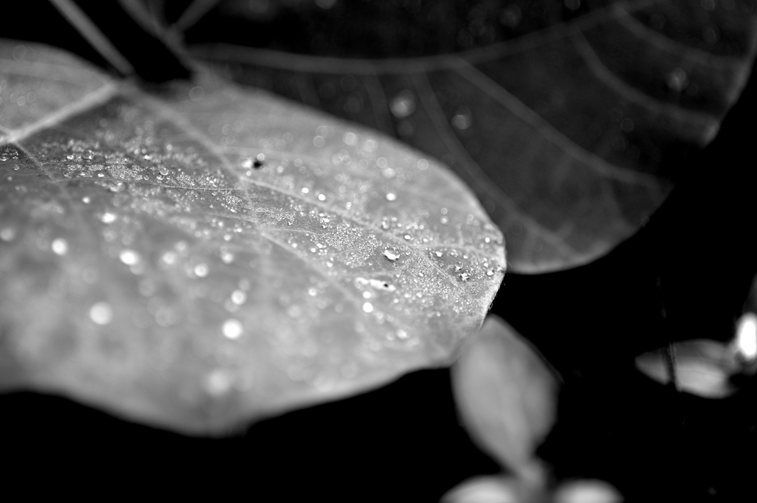 photo-cIK7UN77mcPmjGzvDsR6-image