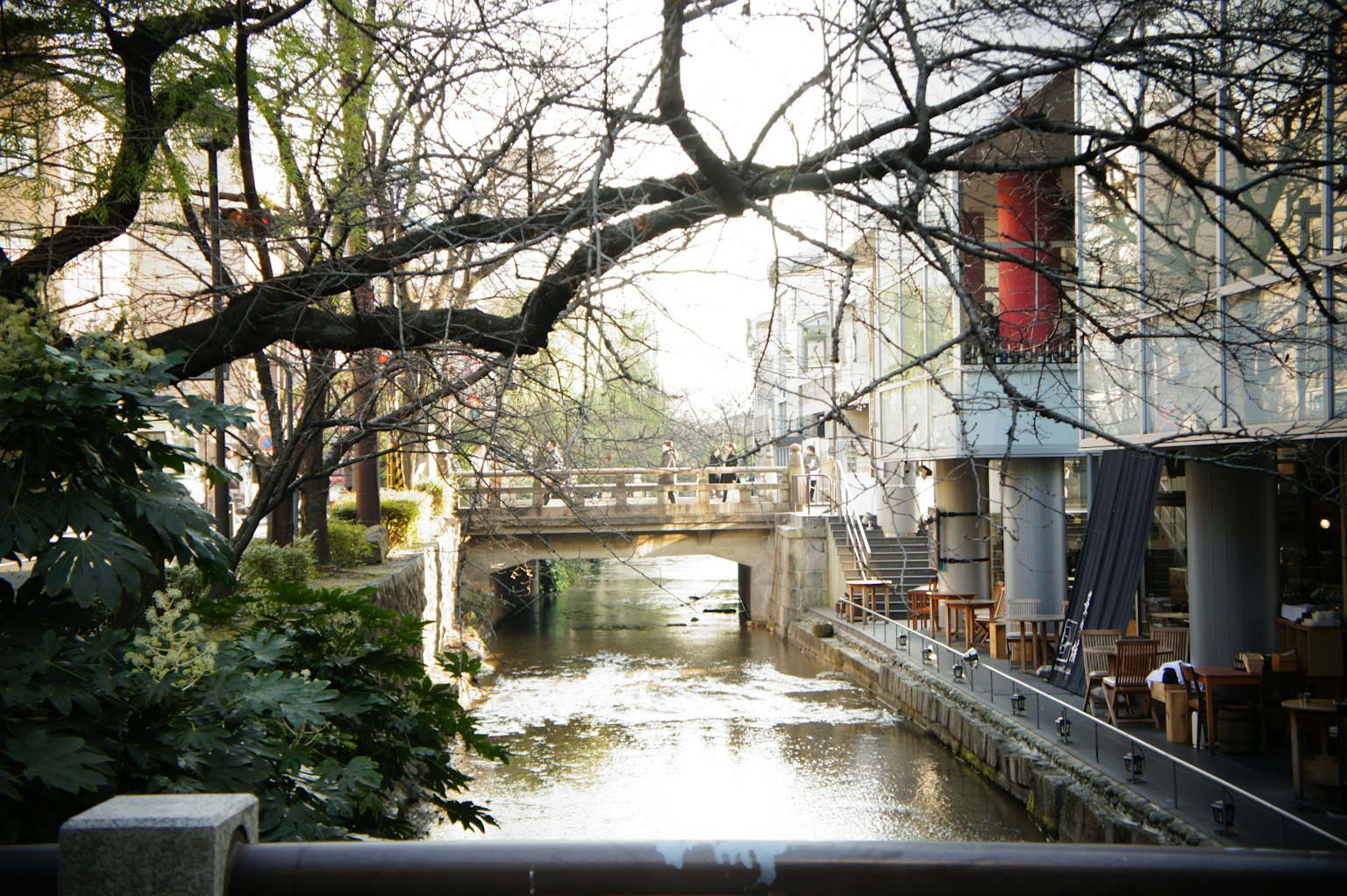 Vista serena lungo il fiume con alberi ponte nelle vicinanze e terrazza del caffè