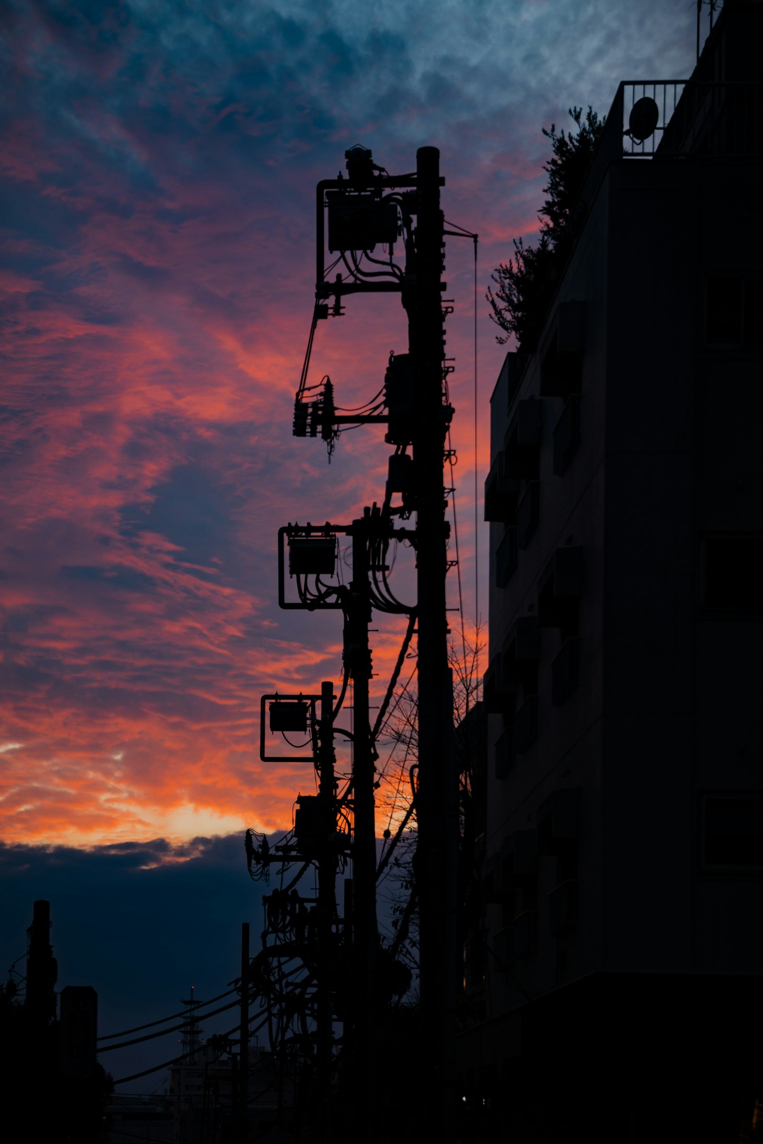 Silhouette of utility poles against a sunset sky
