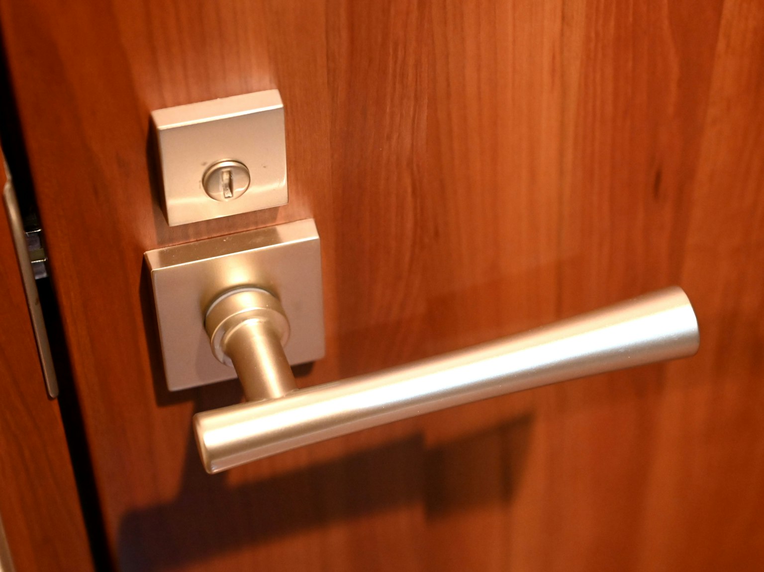 Maniglia e serratura metalliche su una porta in legno