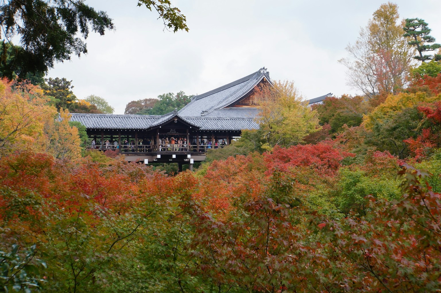 色とりどりの秋の木々に囲まれた伝統的な日本の建物
