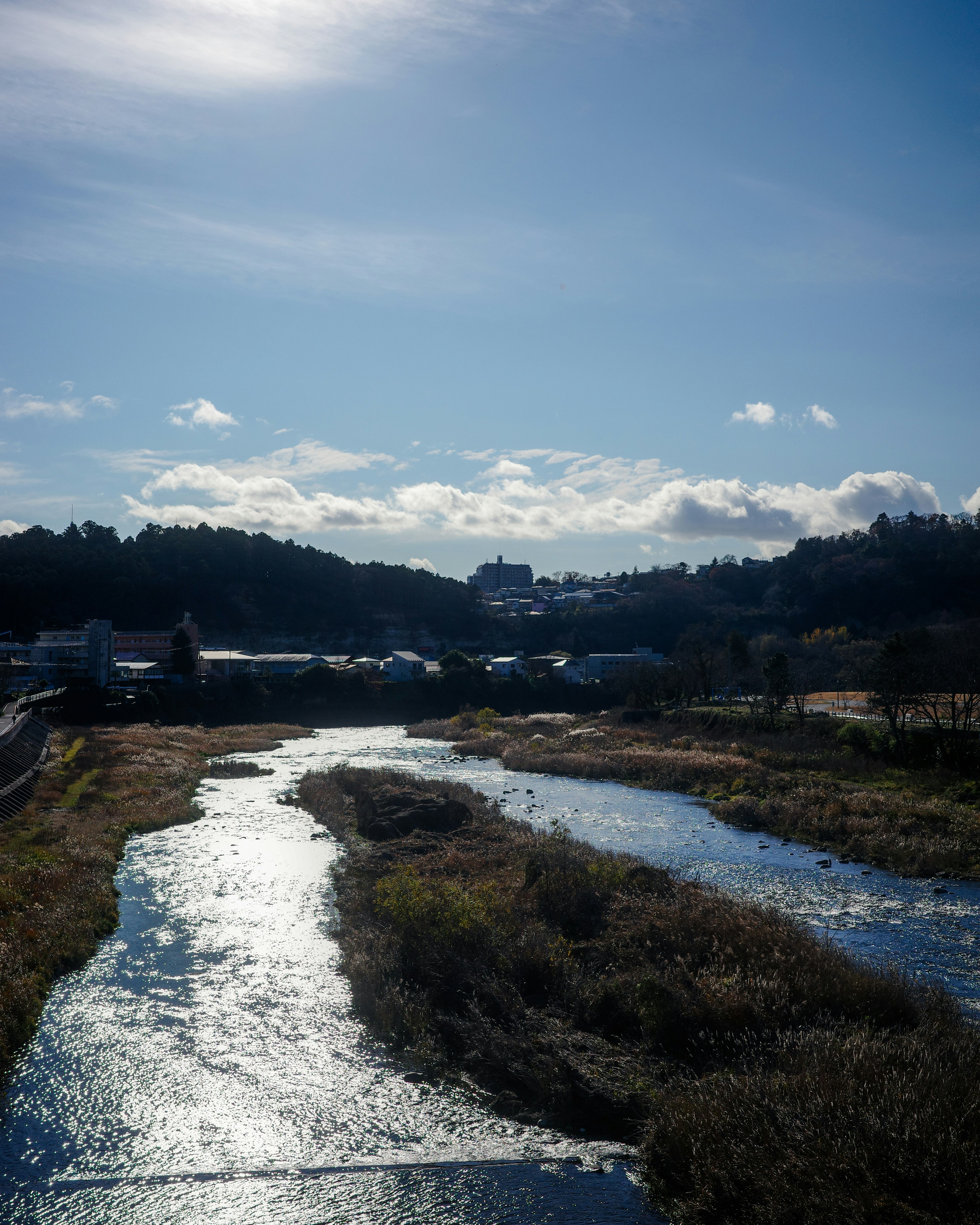 河流沿岸的自然景观与远处城镇