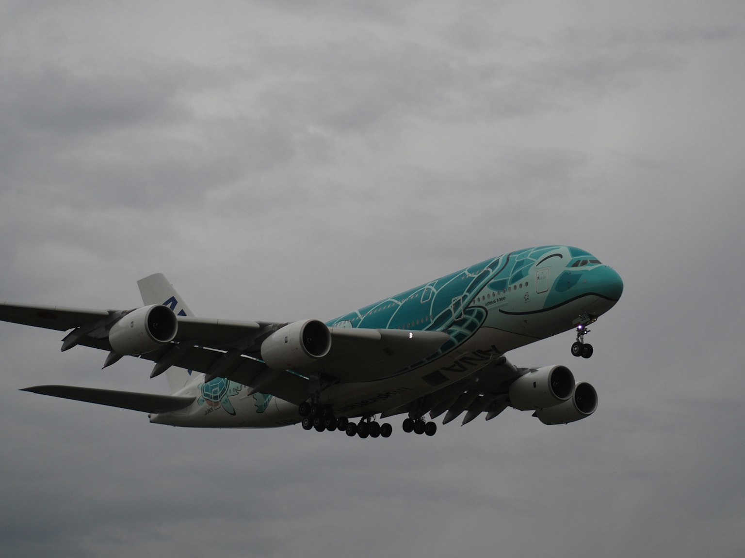 Airplane with blue design flying through clouds