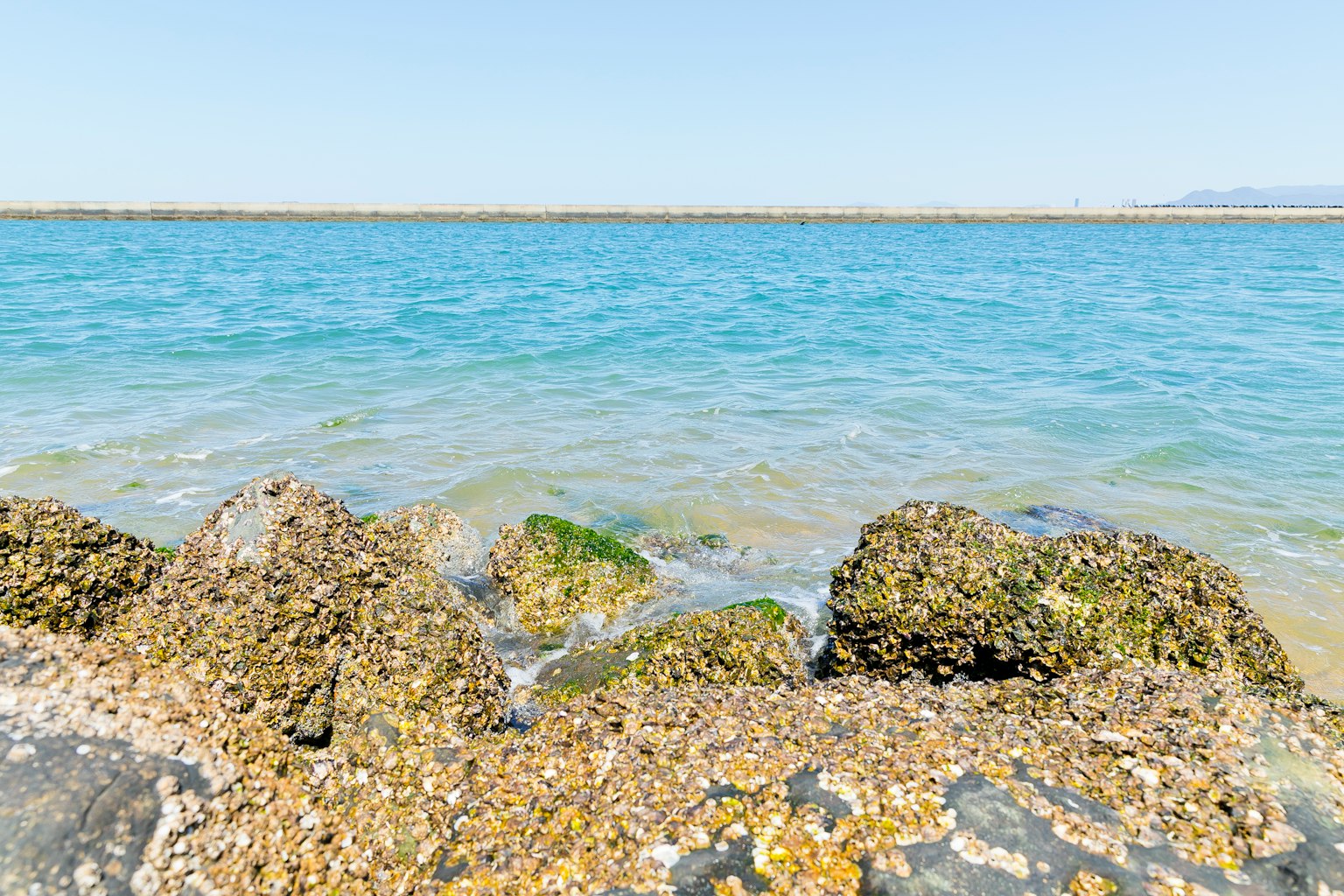 海岸岩石与清澈的蓝色水