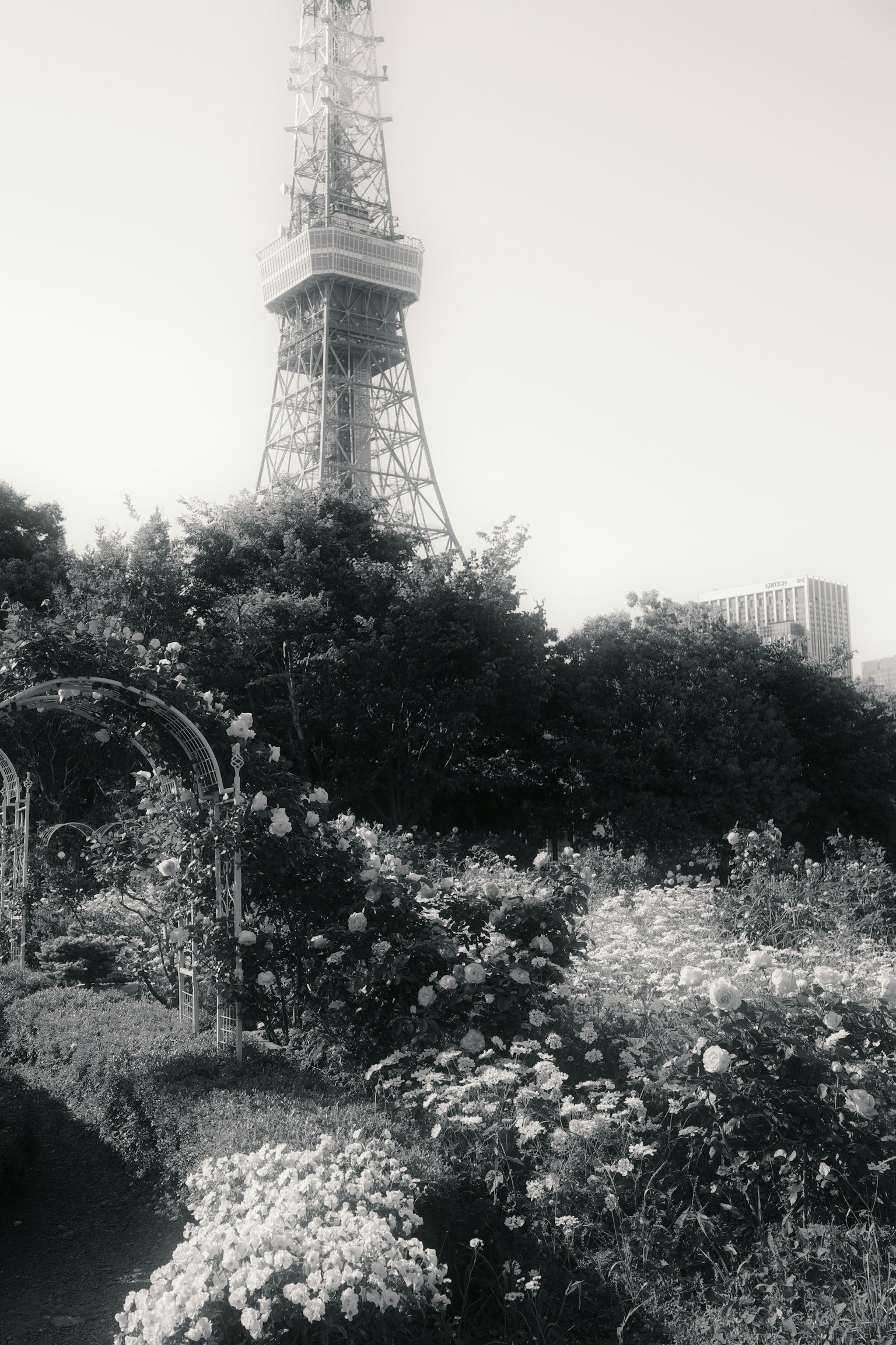 東京タワーが見える花園の風景