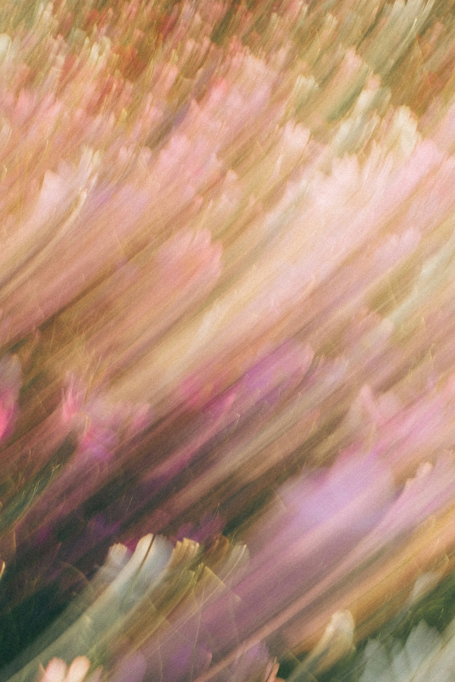 Abstraktes Bild mit sanften Farben, die Blumen ähneln