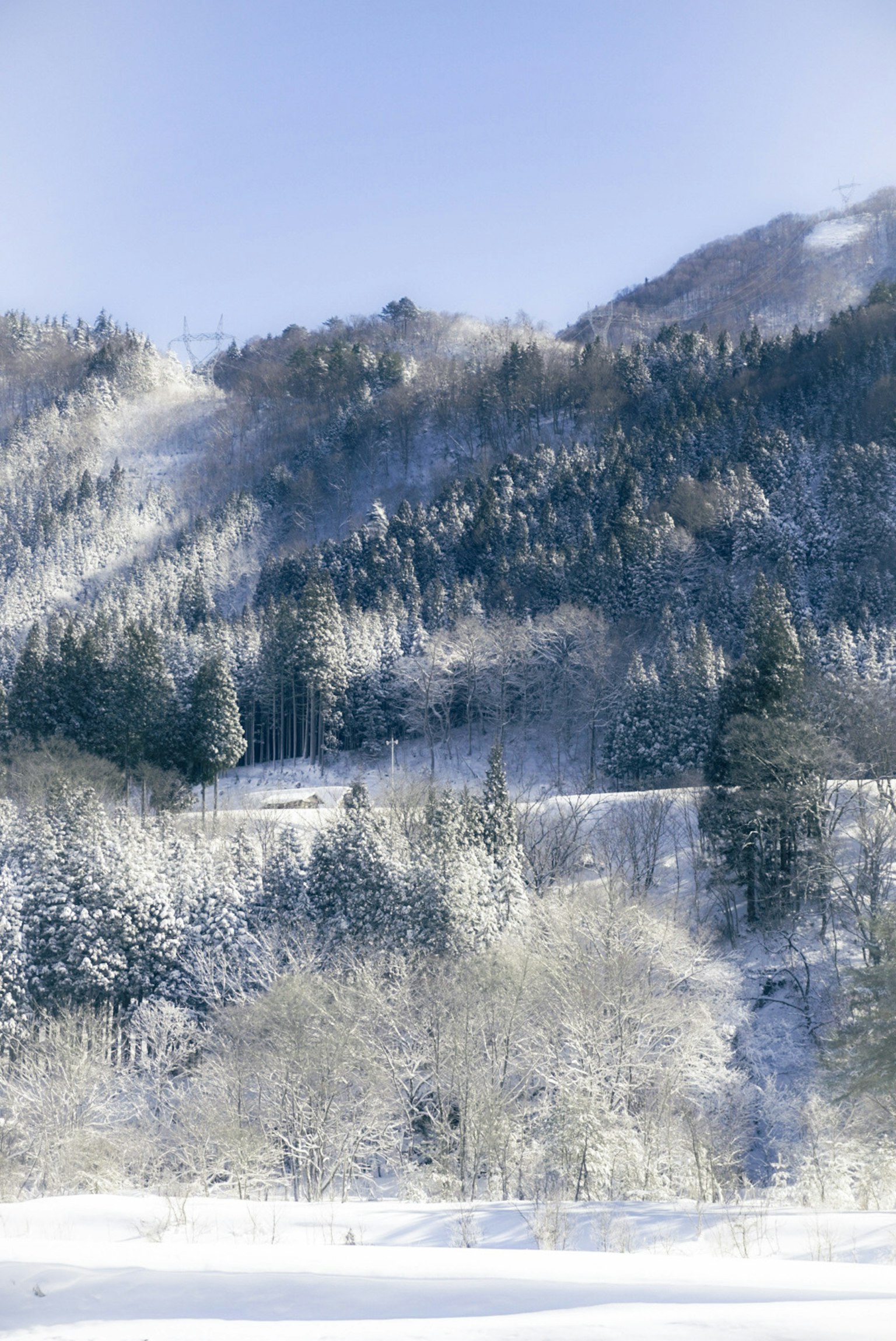 Snow-covered mountains and trees in a winter landscape