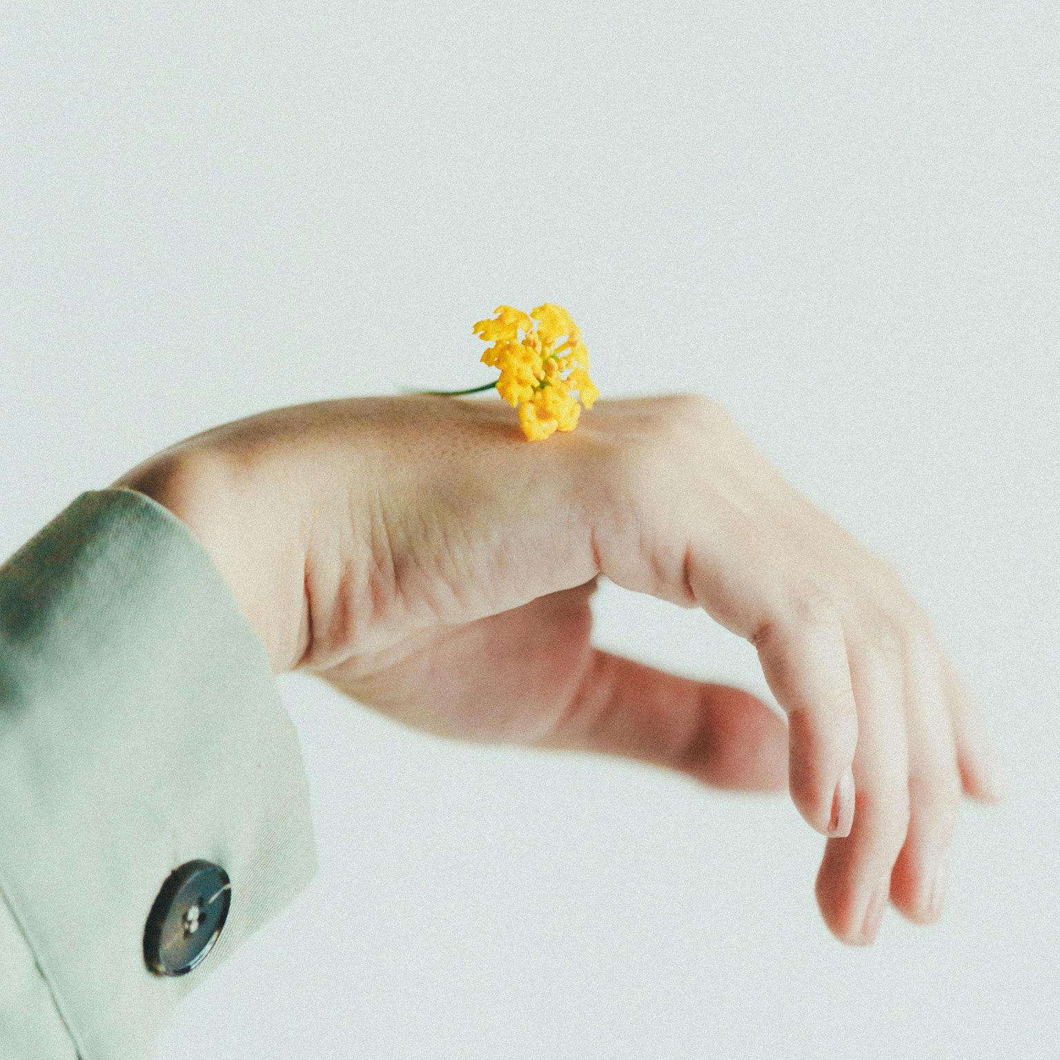 Mano con un fiore giallo sul polso
