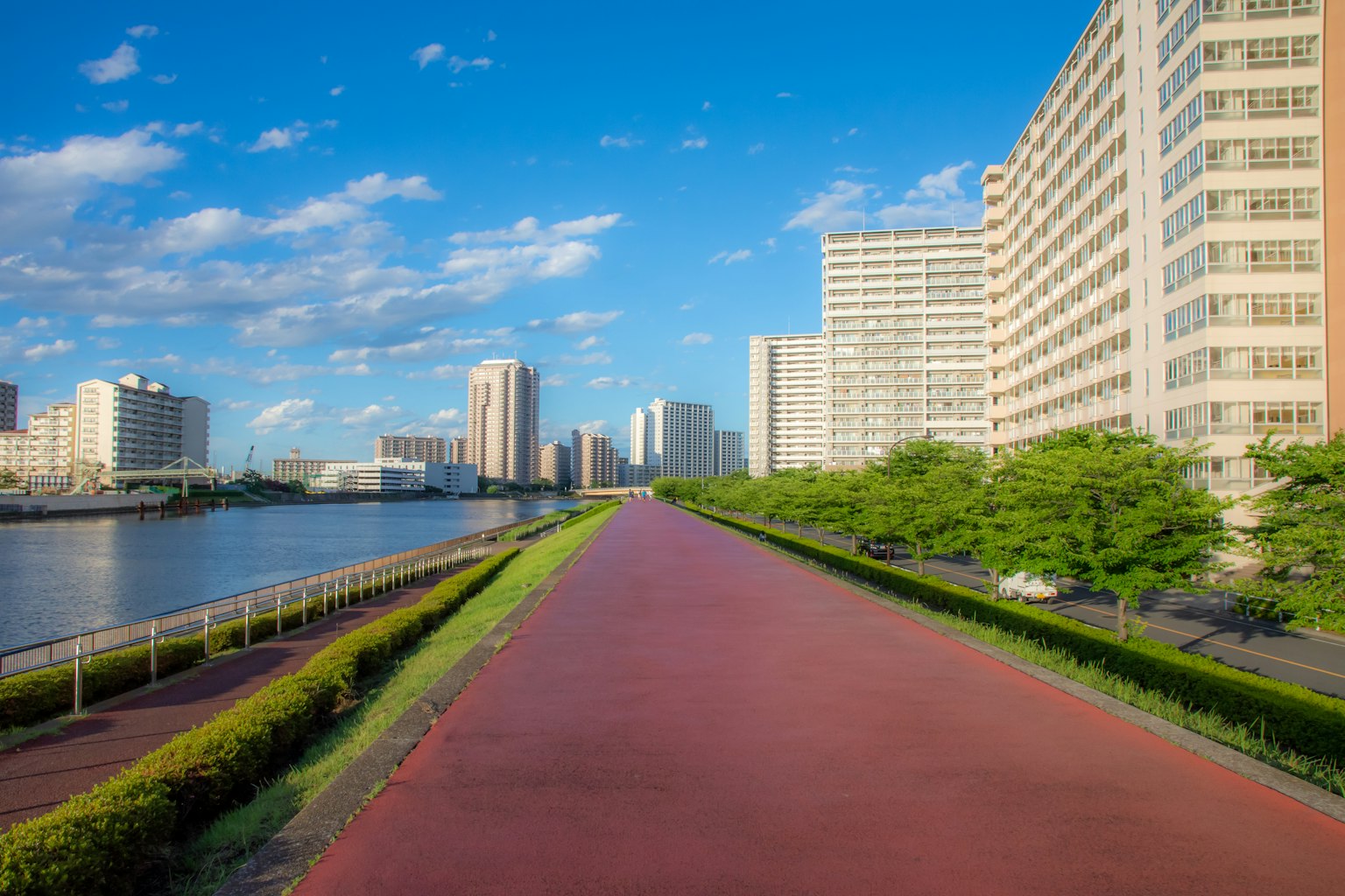 蓝天下的河边步道，旁边是绿树和高楼大厦