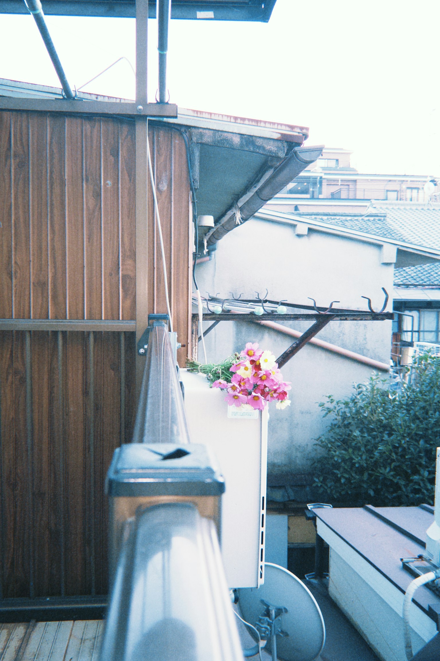 Vista esterna con un muro di legno e fiori in fiore