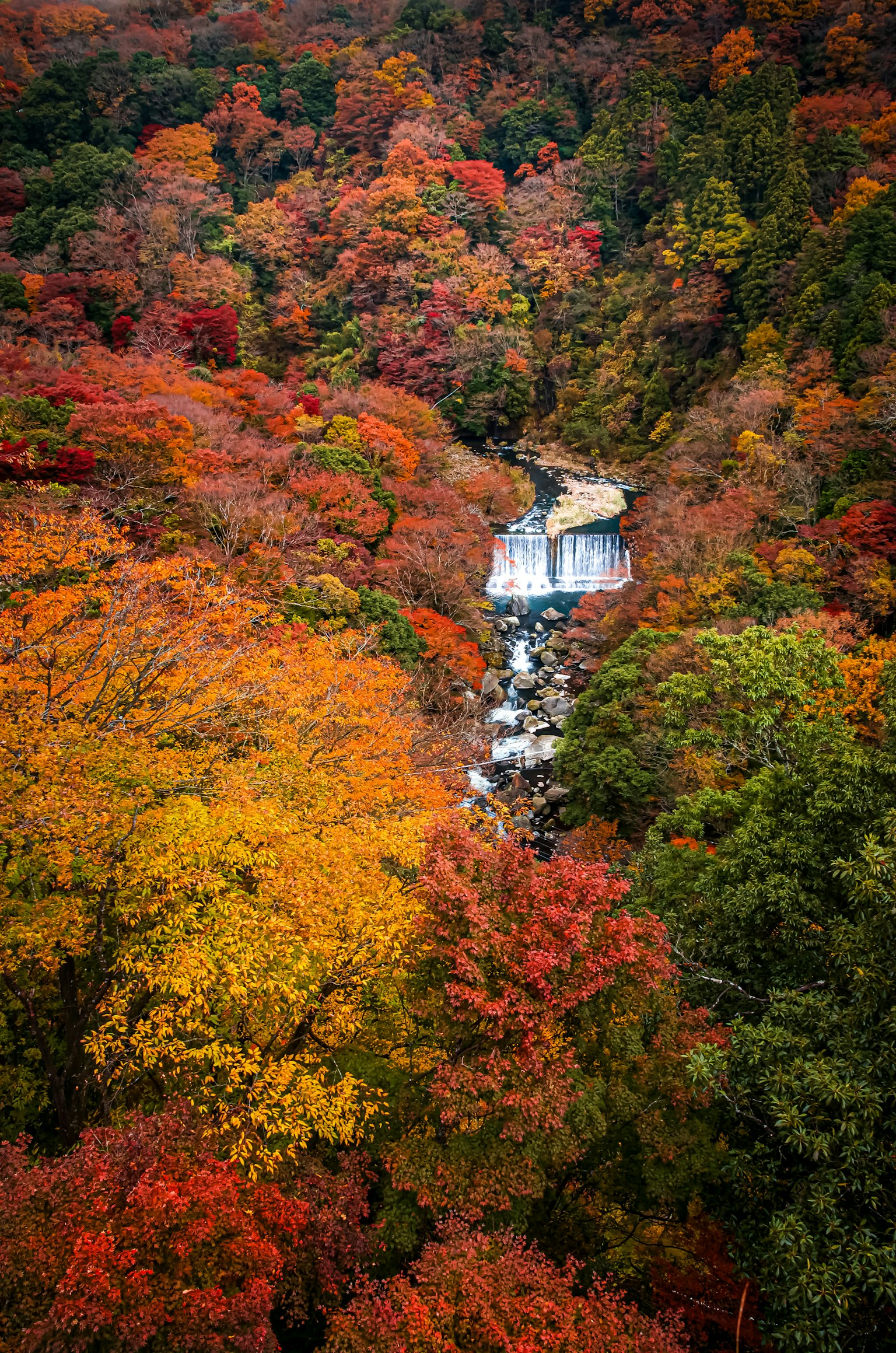 Cascata circondata da fogliame autunnale