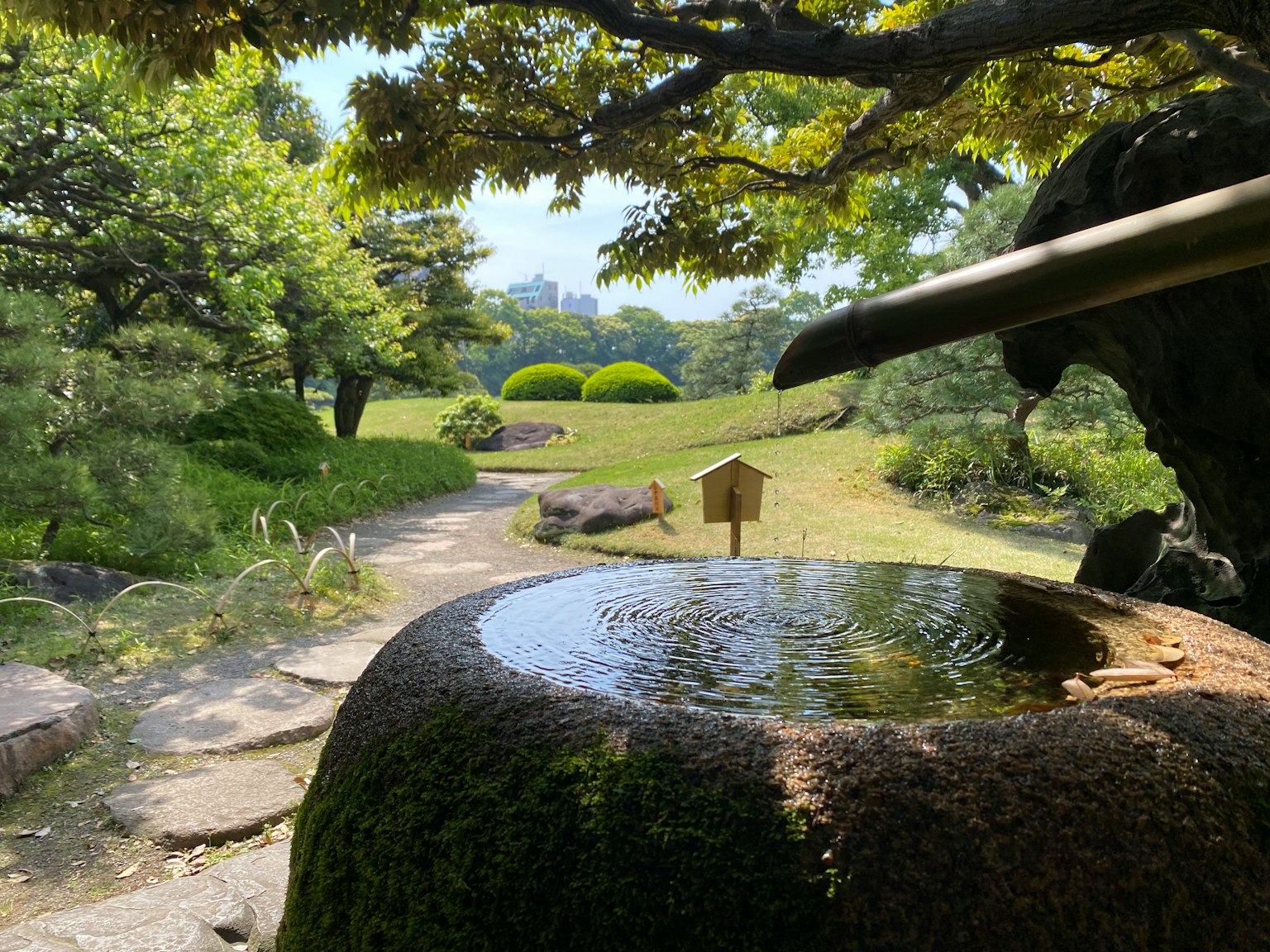 Scène de jardin japonais tranquille eau tombant dans un bassin en pierre verdure luxuriante et pelouses soignées