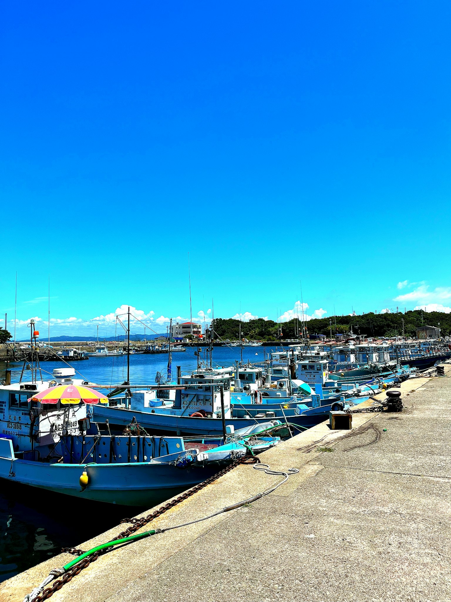 Scène de port avec ciel bleu et bateaux de pêche