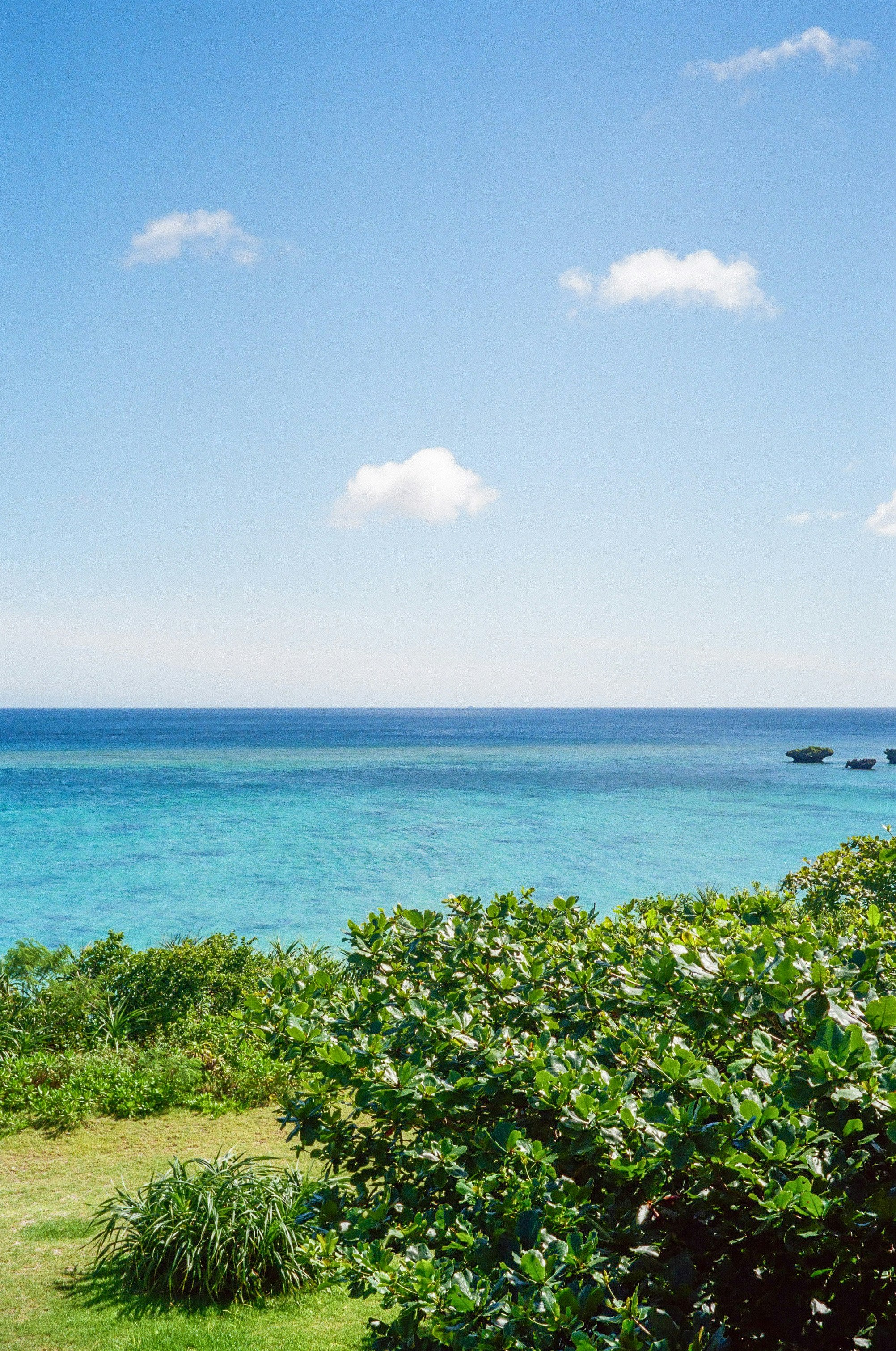 青い海と空、緑の茂みが続く海岸の風景