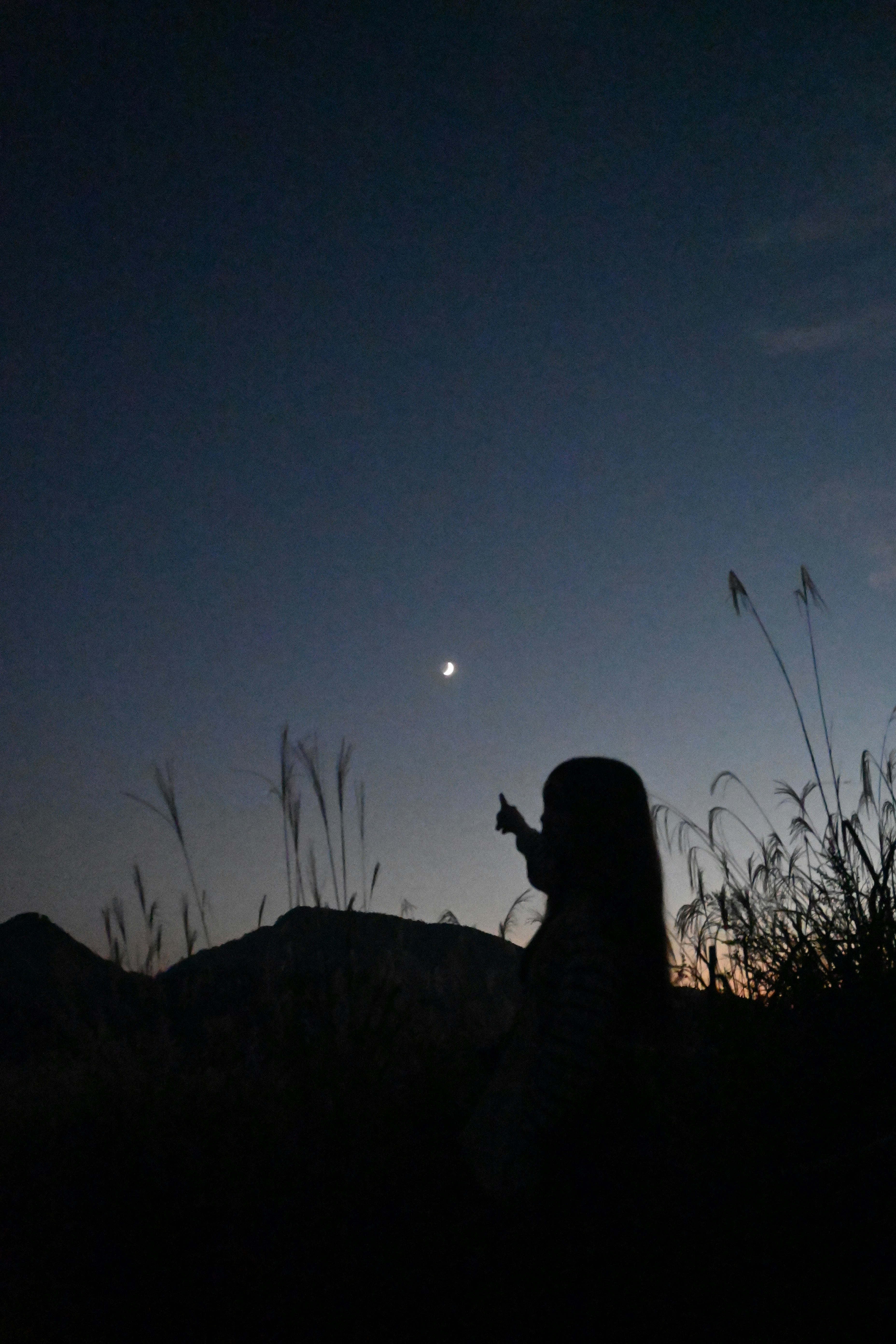 silhouette d’une personne regardant le ciel au crépuscule depuis l’herbe haute